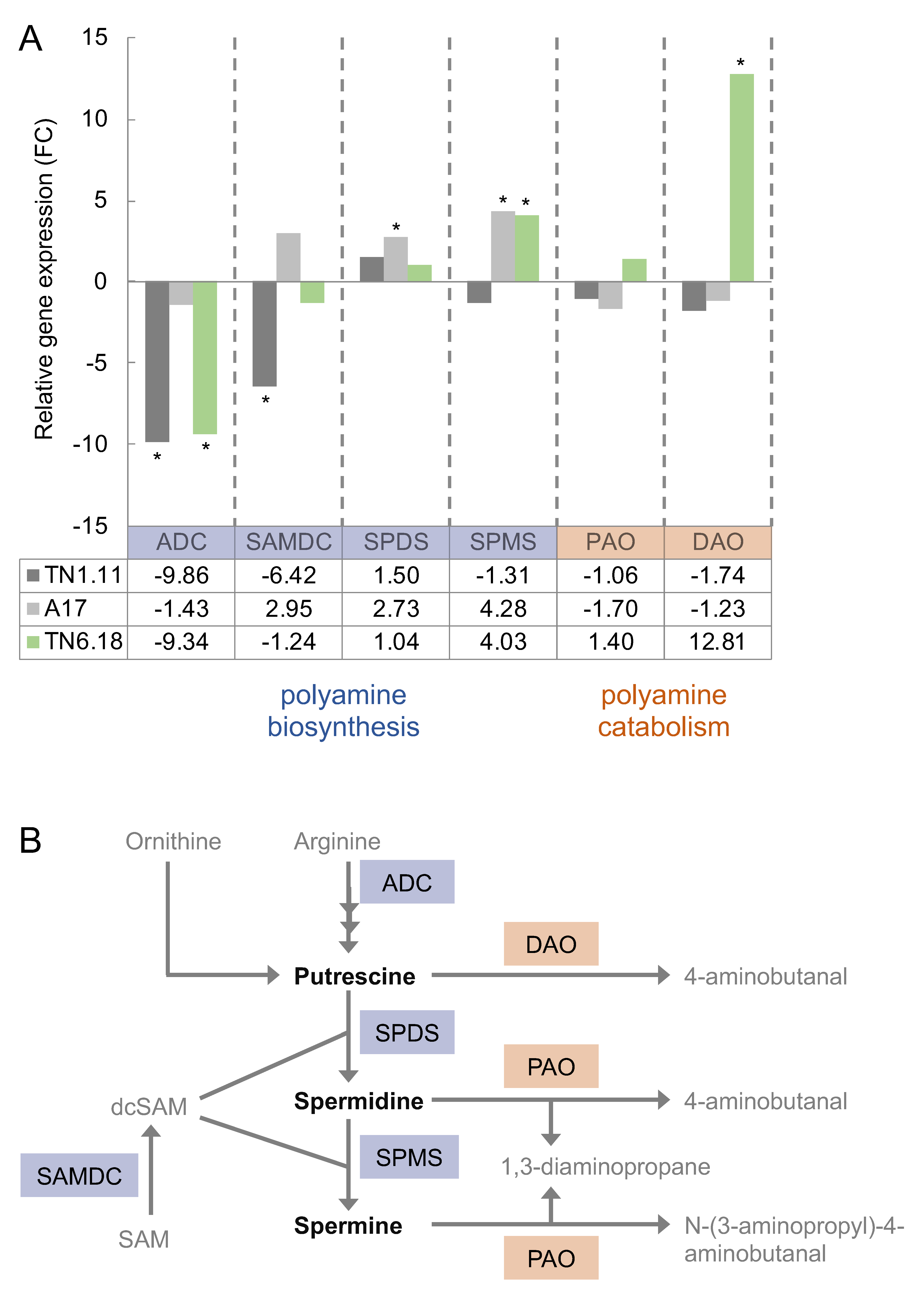 Plants 10 00269 g003