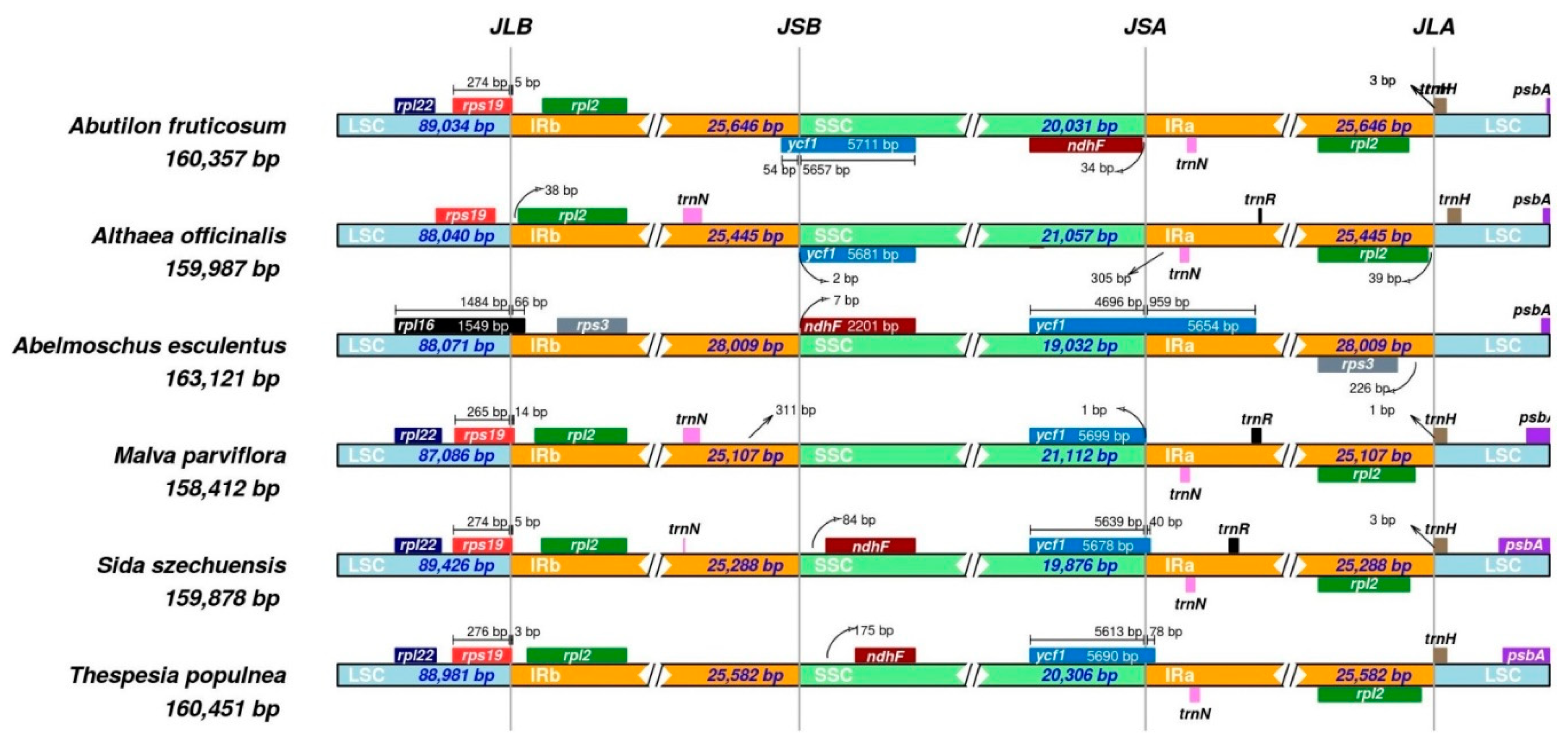 Plants 10 00270 g008 Plants 10 00270 g008
