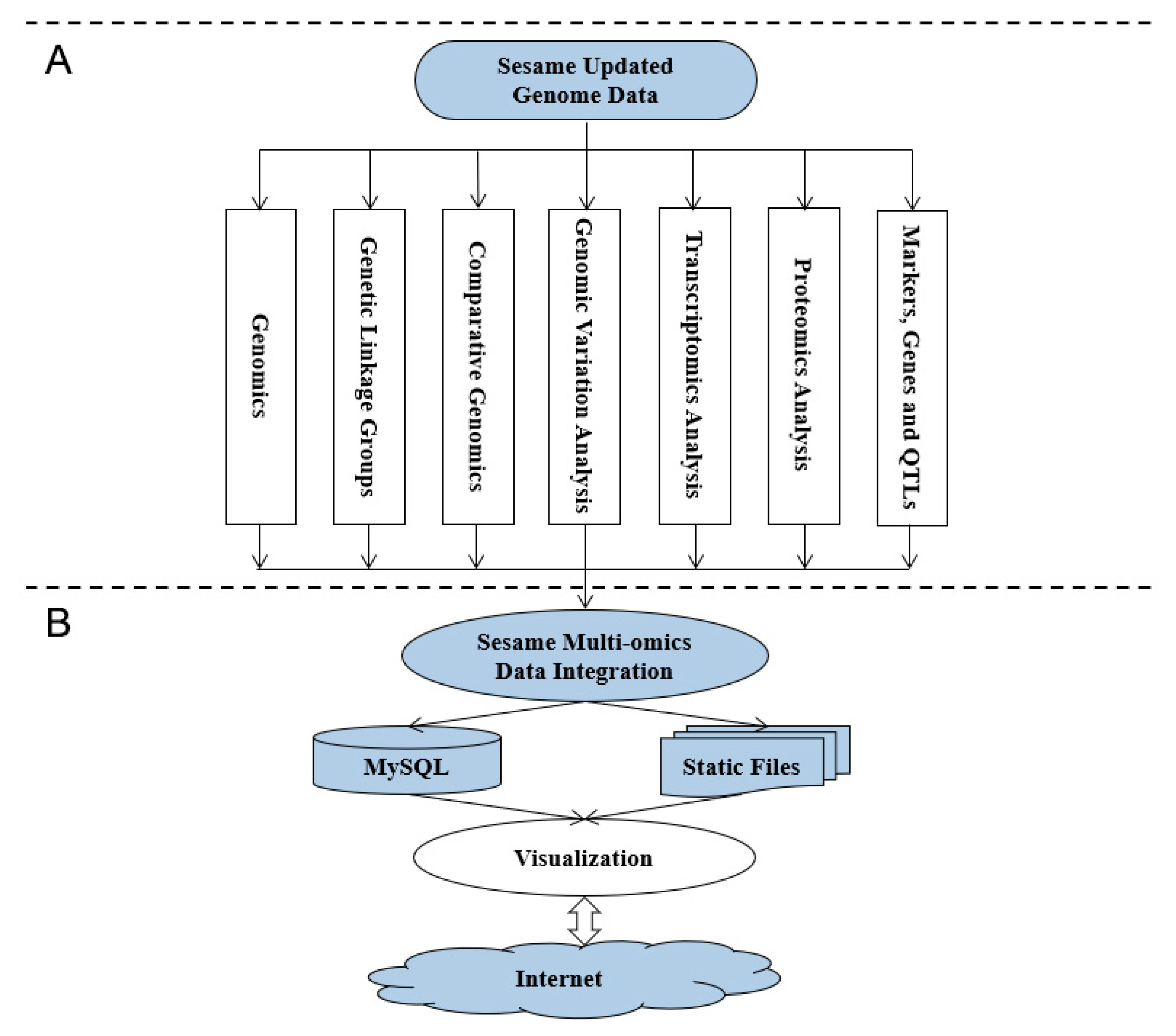 Plants 10 00272 g001