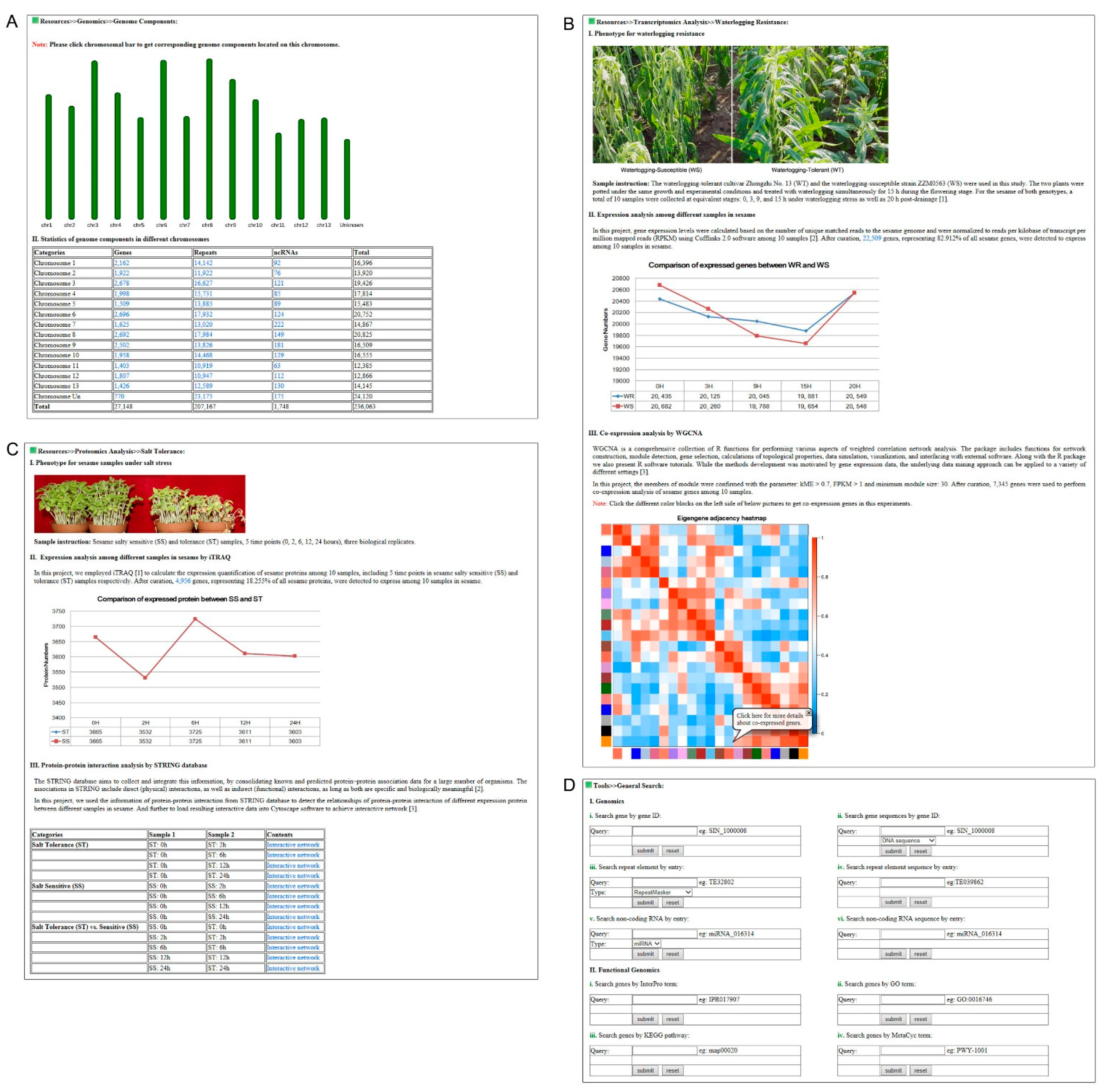 Plants 10 00272 g002