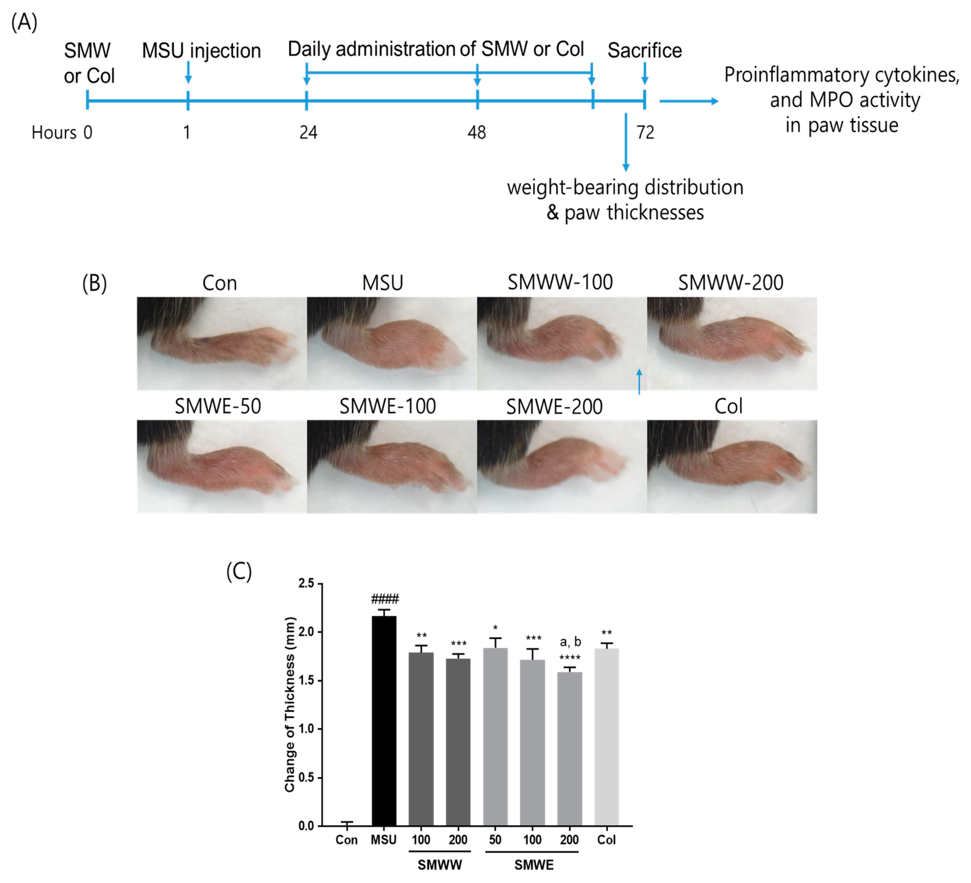 Plants 10 00278 g003 Plants 10 00278 g003