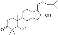 Plants 10 00279 i013