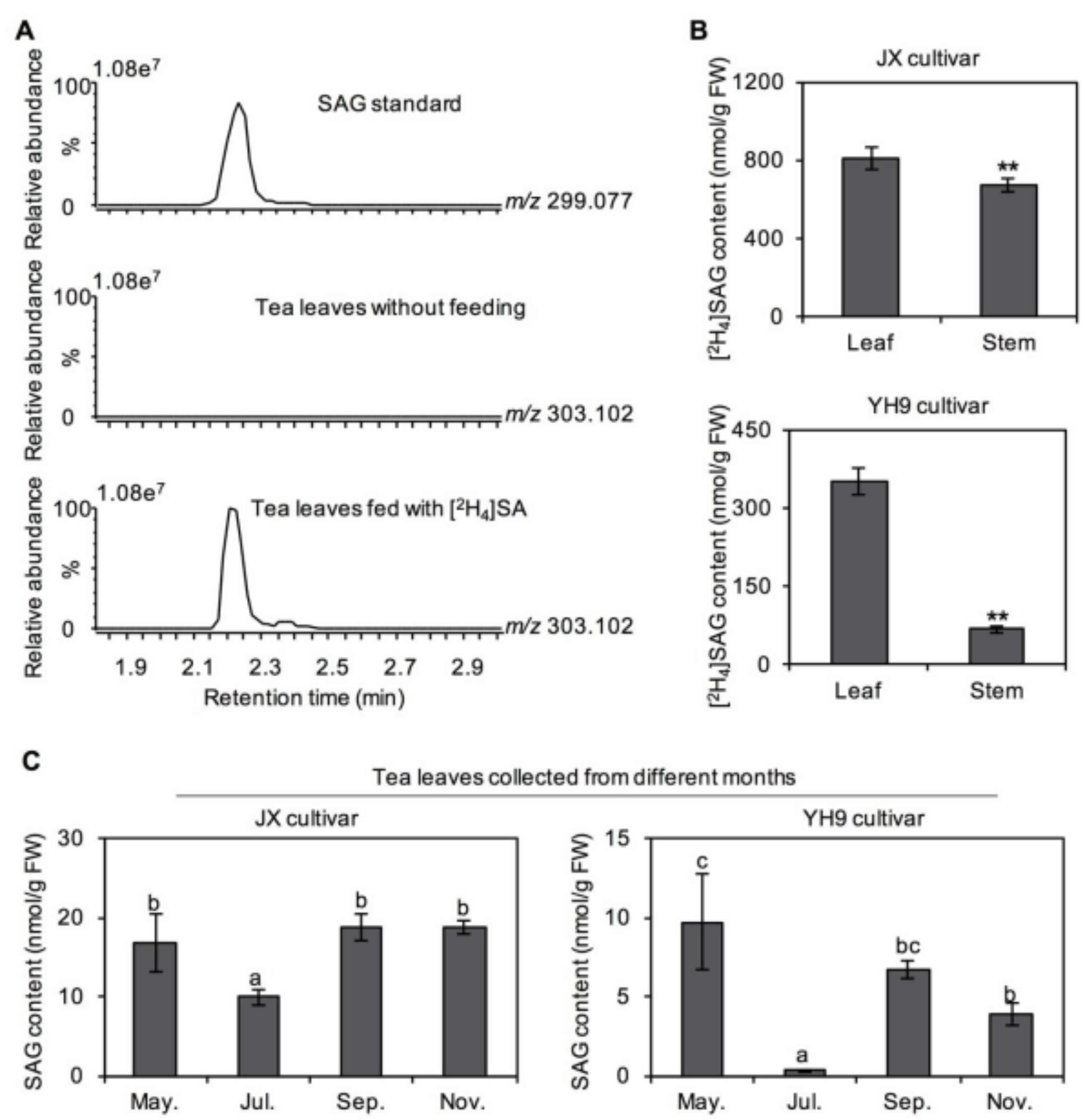 Plants 10 00282 g002 550