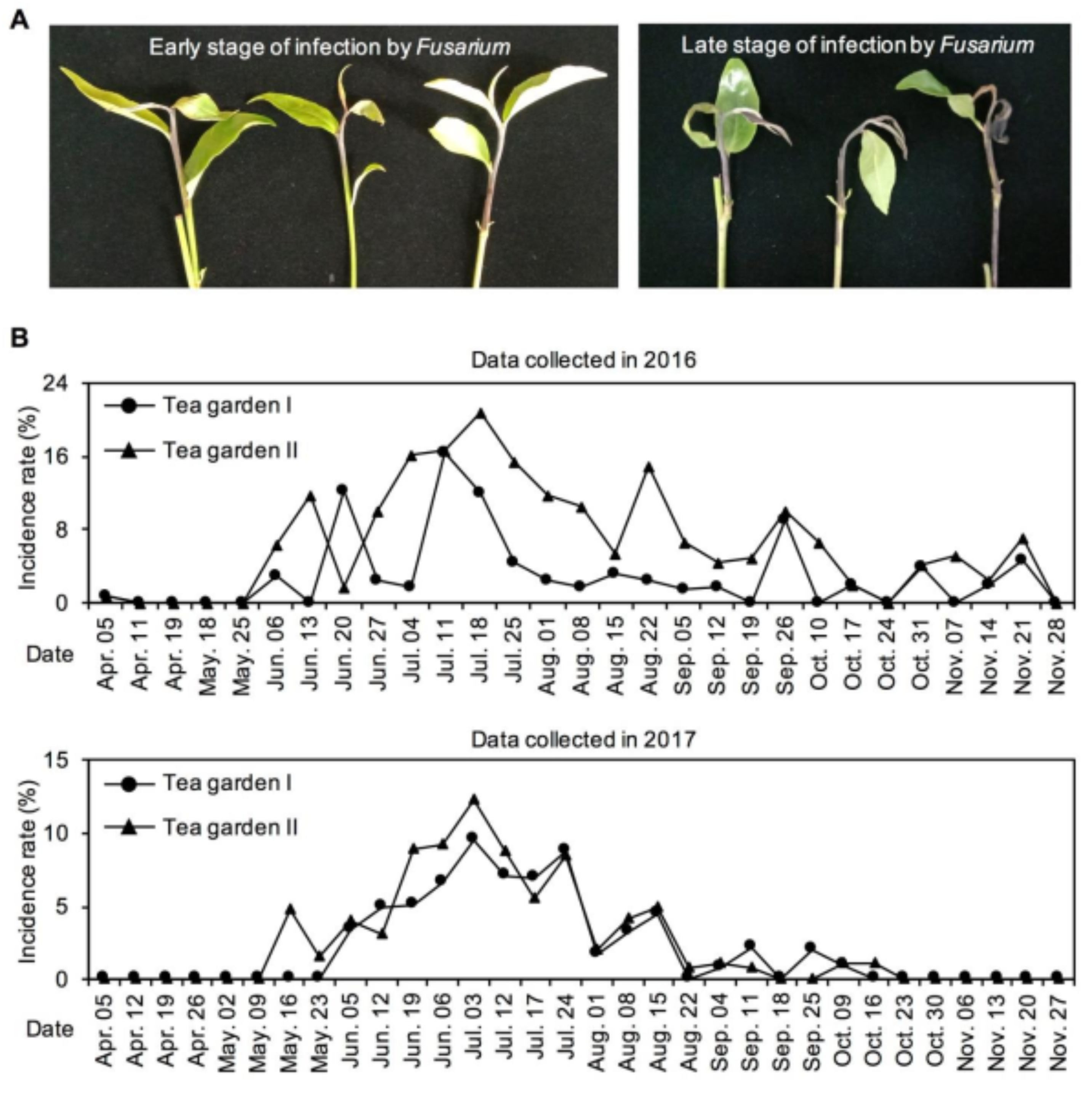Plants 10 00282 g006 550