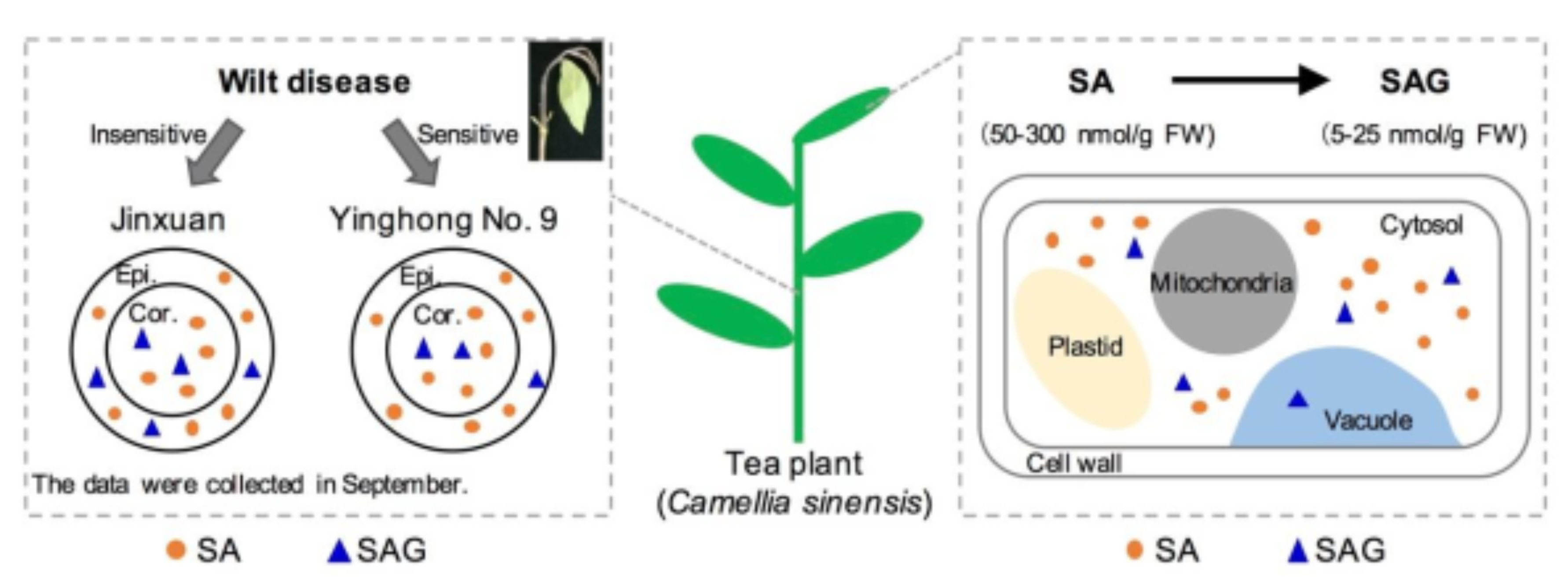 Plants 10 00282 g008 550
