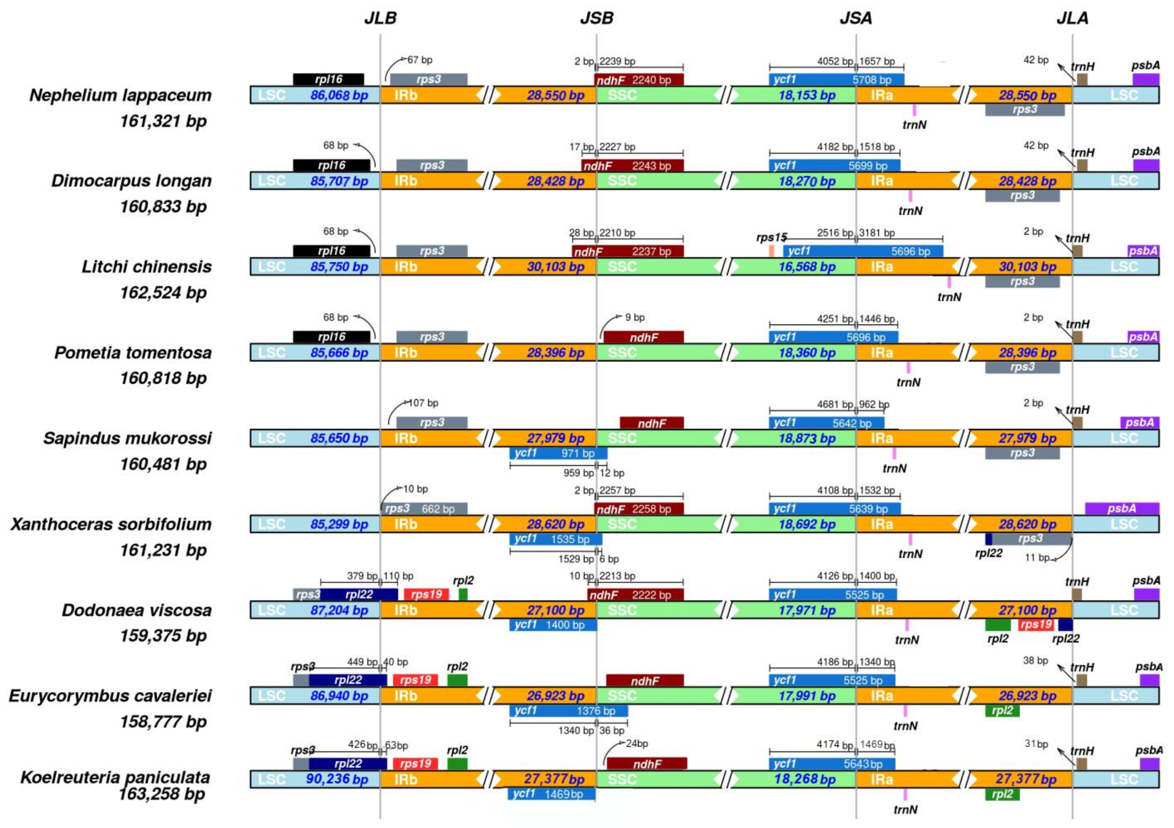 Plants 10 00283 g005