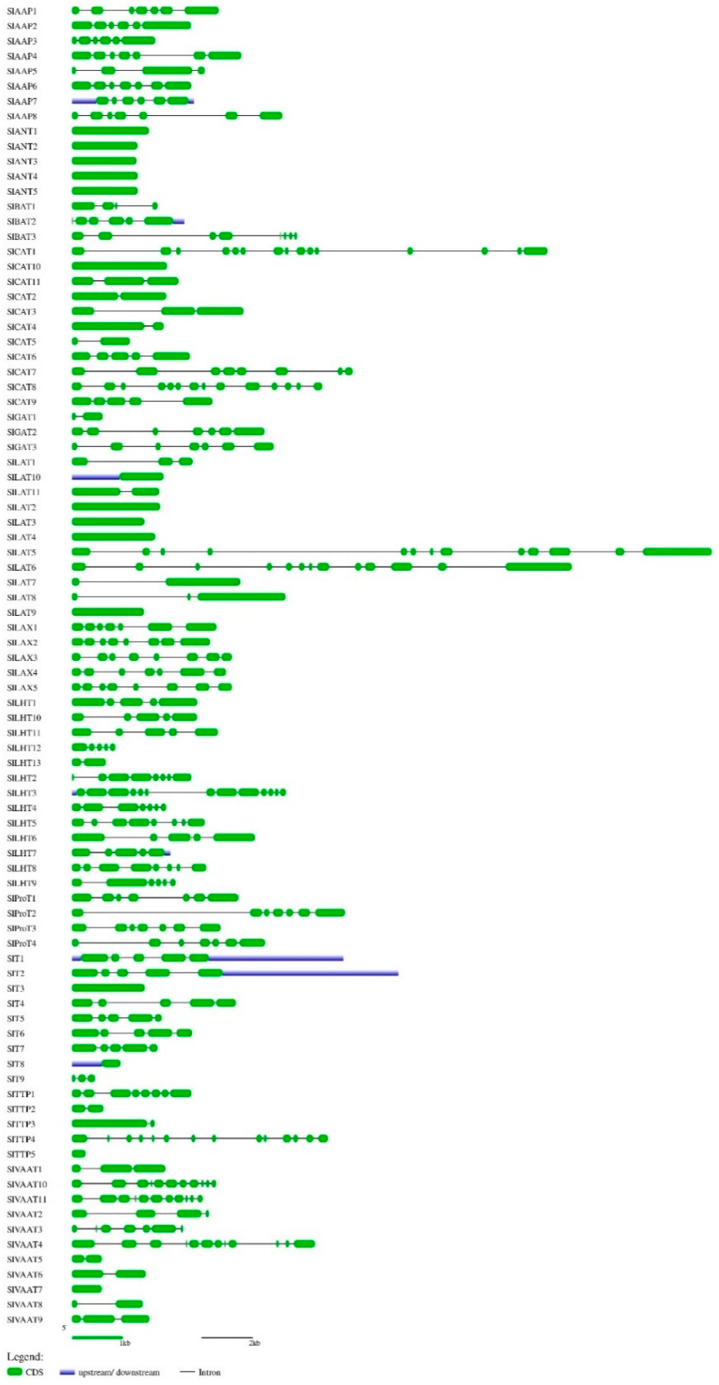 Plants 10 00289 g001