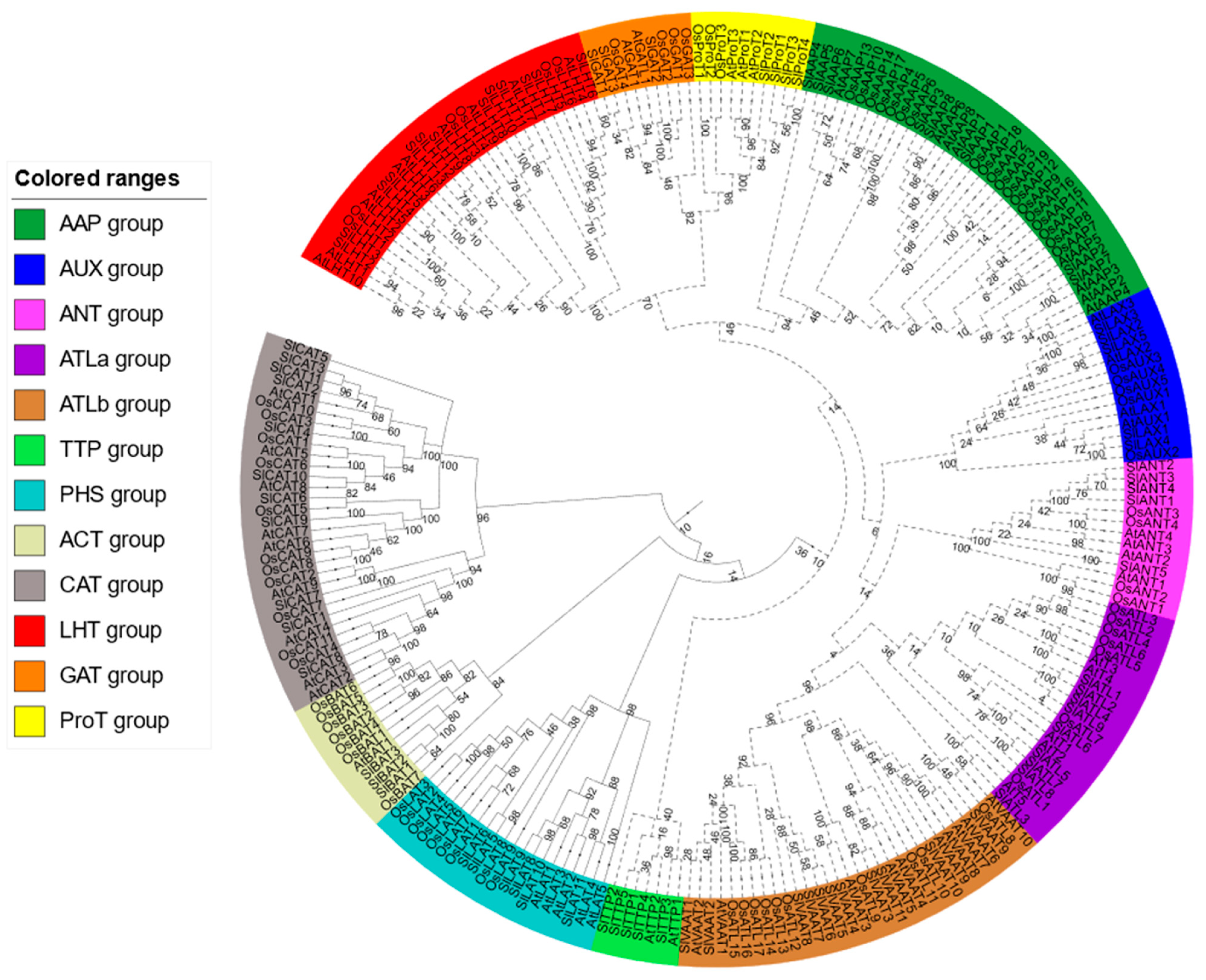 Plants 10 00289 g003
