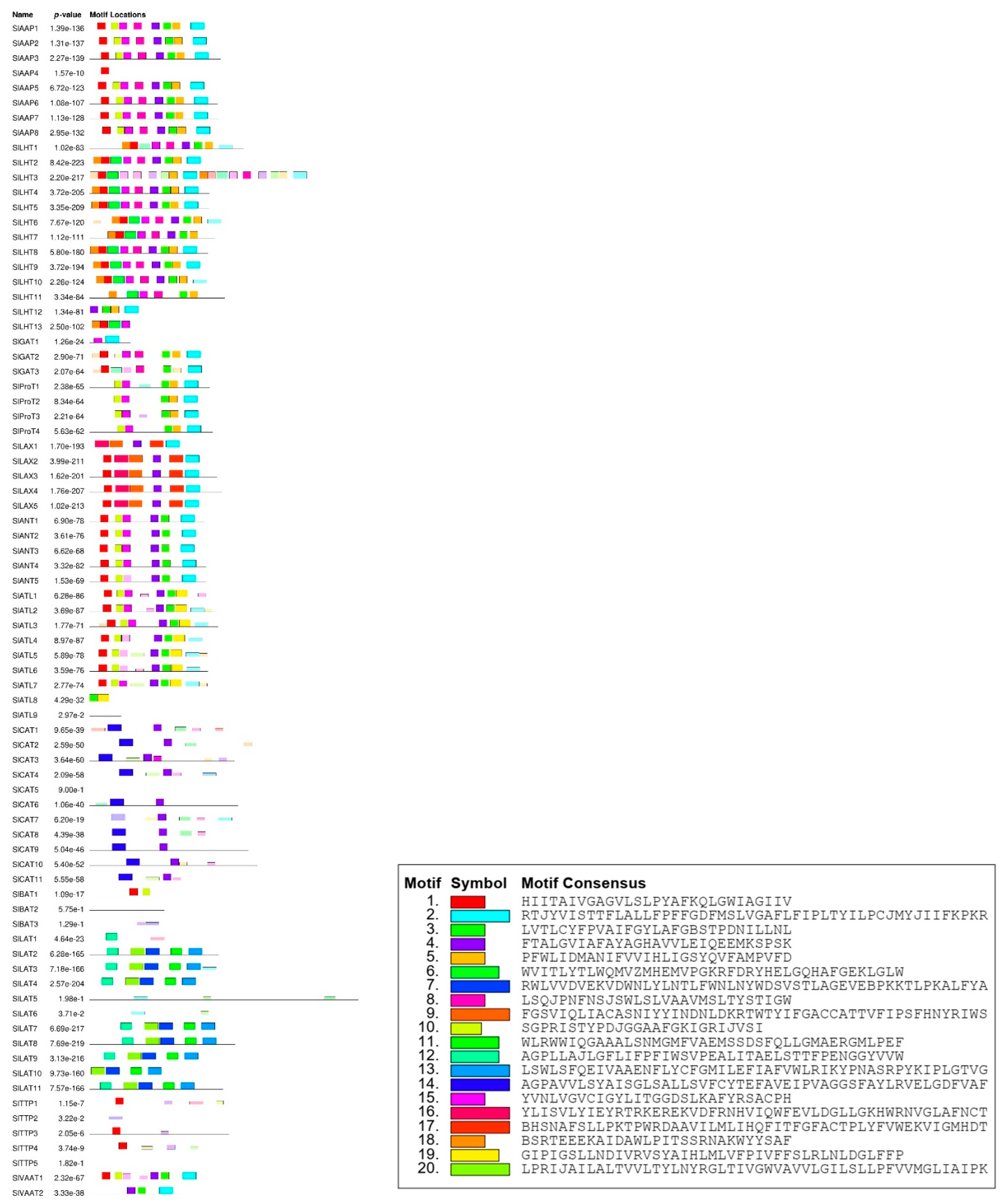 Plants 10 00289 g004