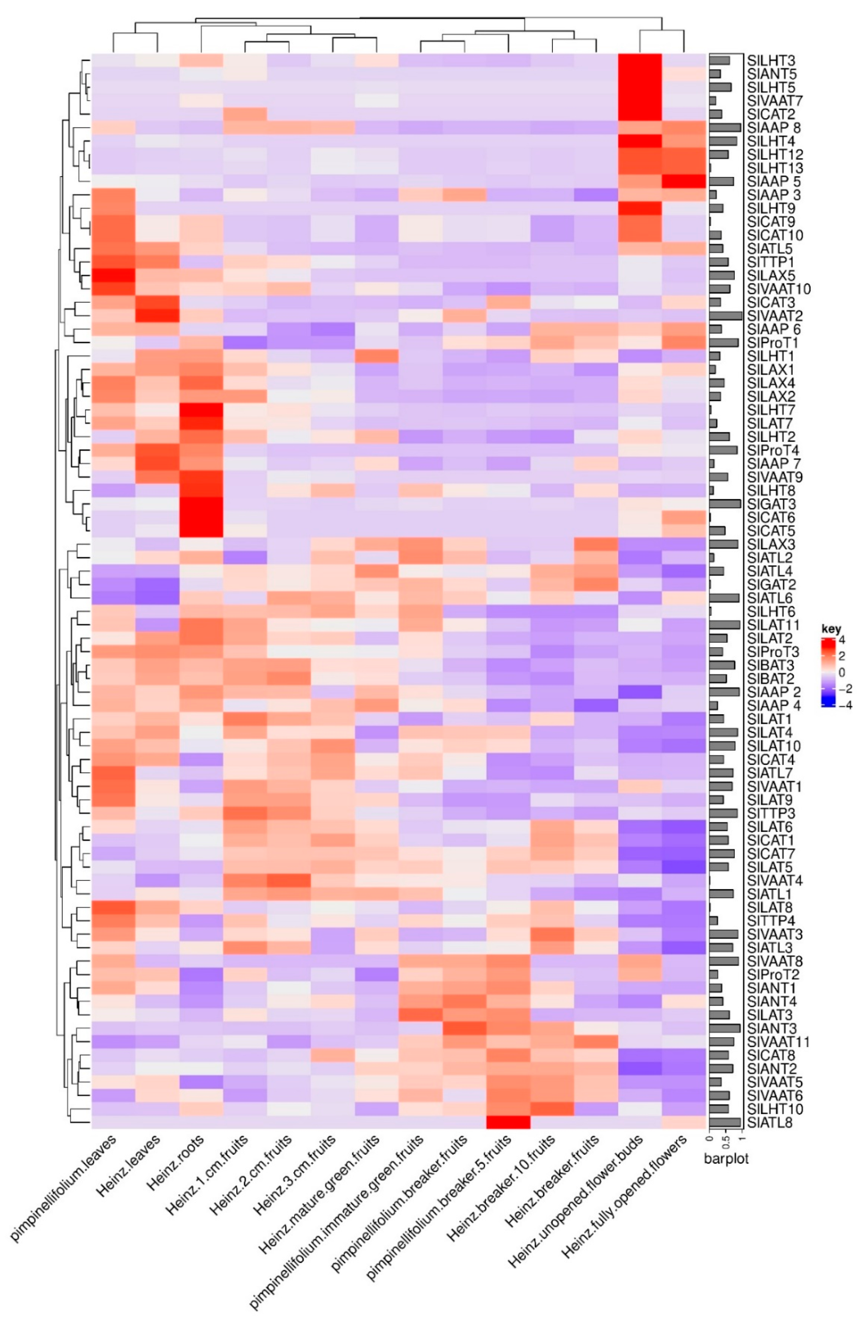 Plants 10 00289 g006