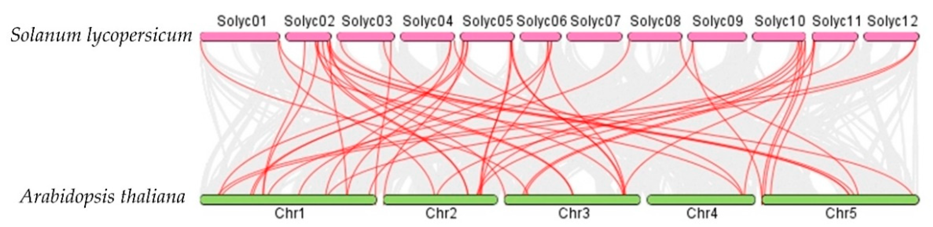 Plants 10 00289 g007
