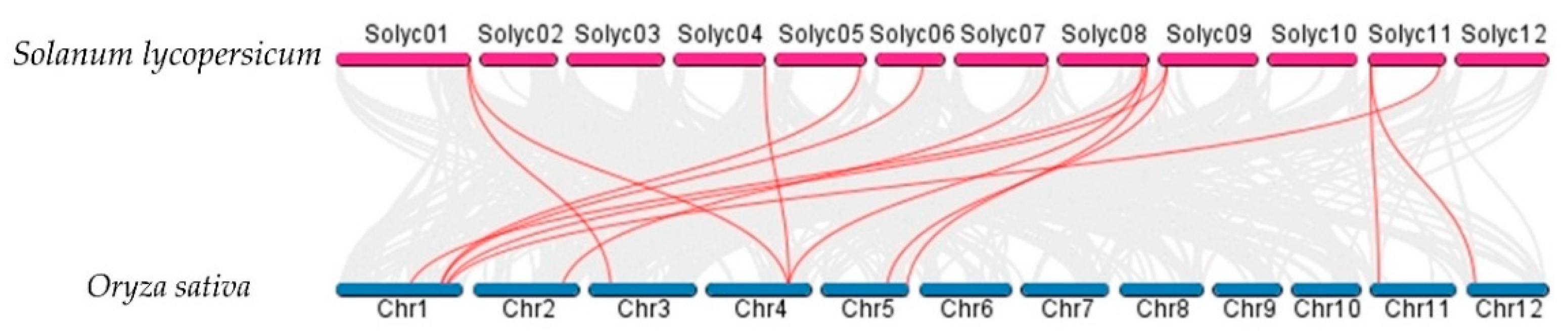 Plants 10 00289 g008