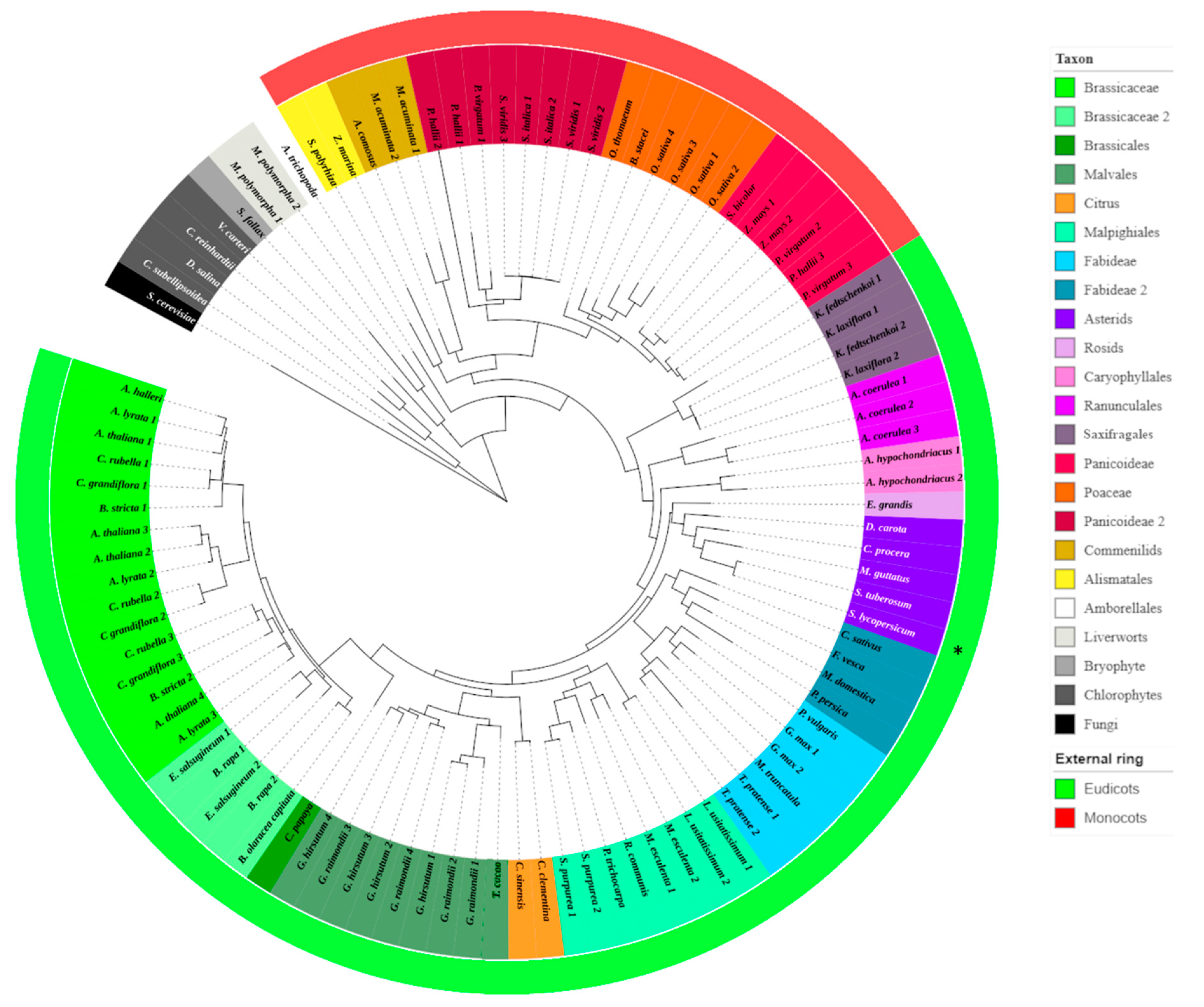 Plants 10 00292 g005