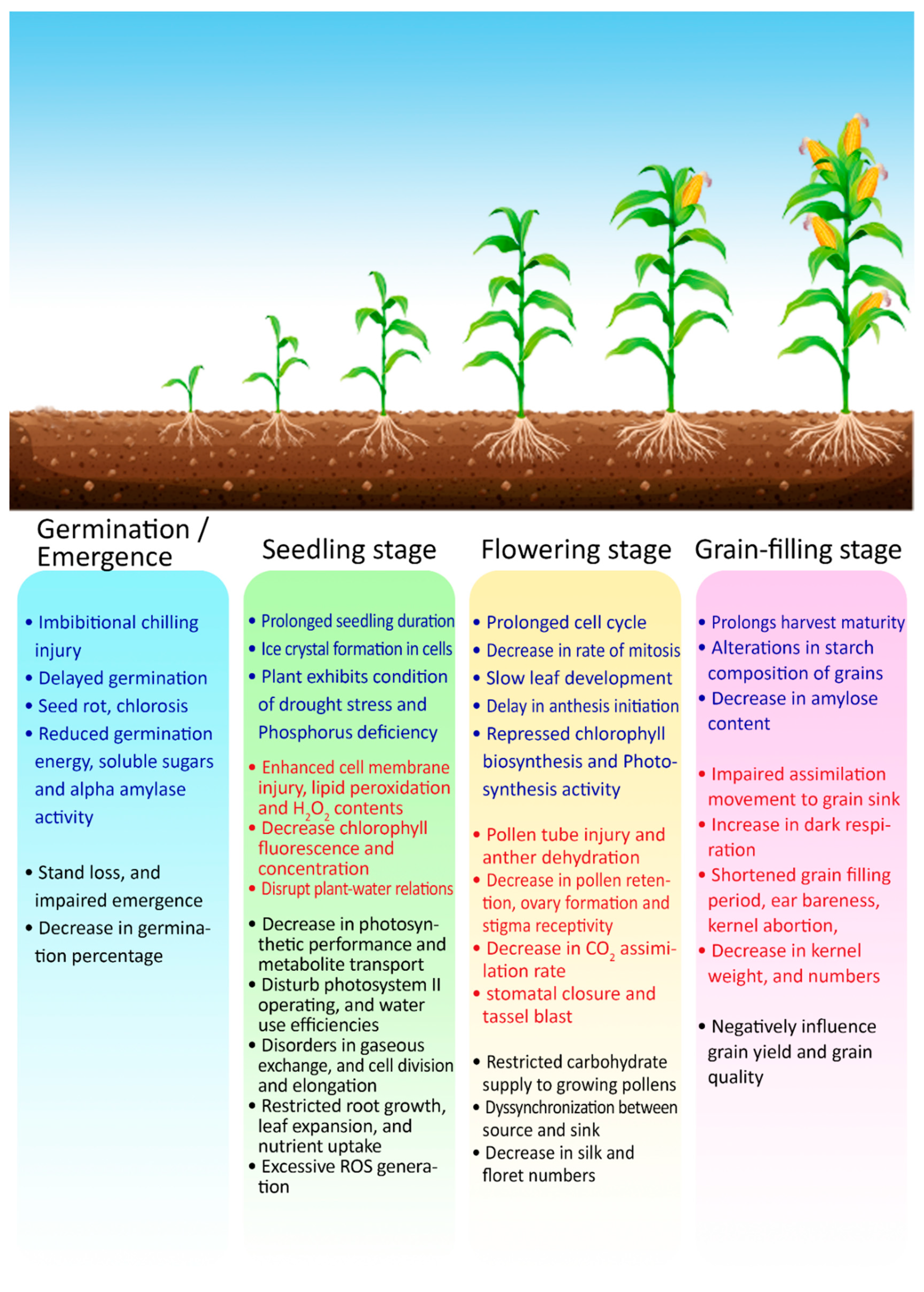 Plants 10 00293 g004