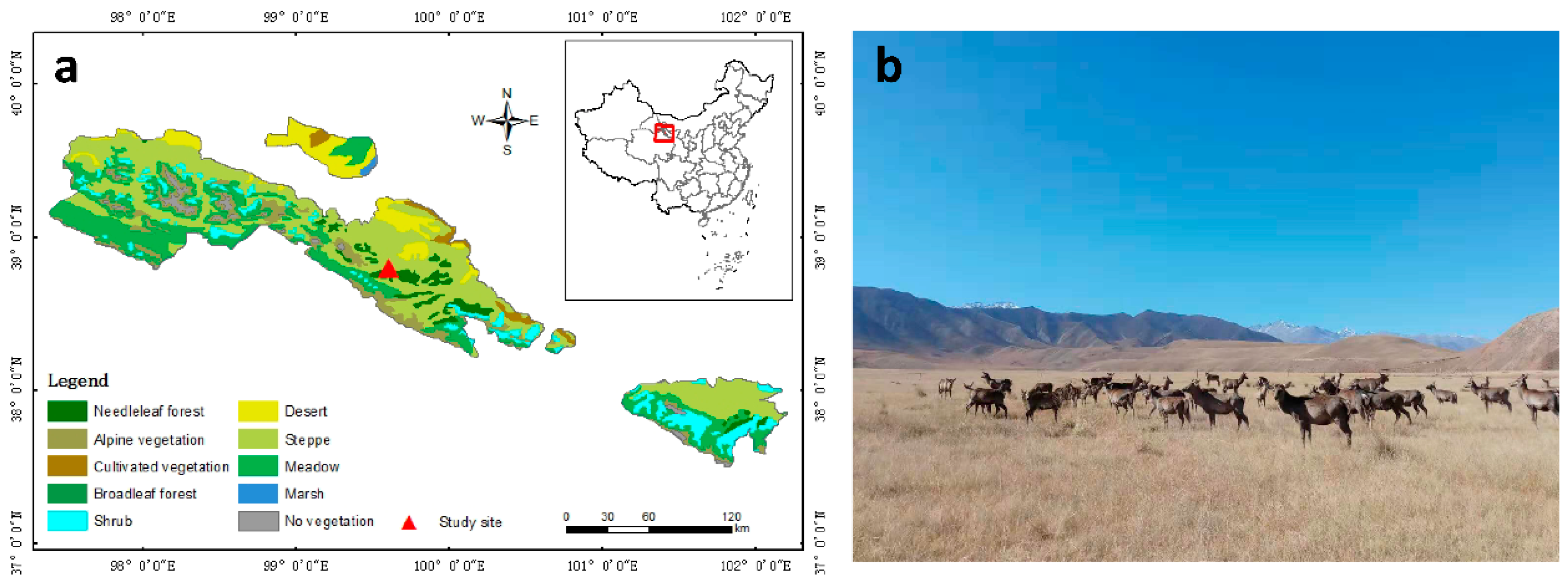 Plants 10 00294 g011 Plants 10 00294 g011