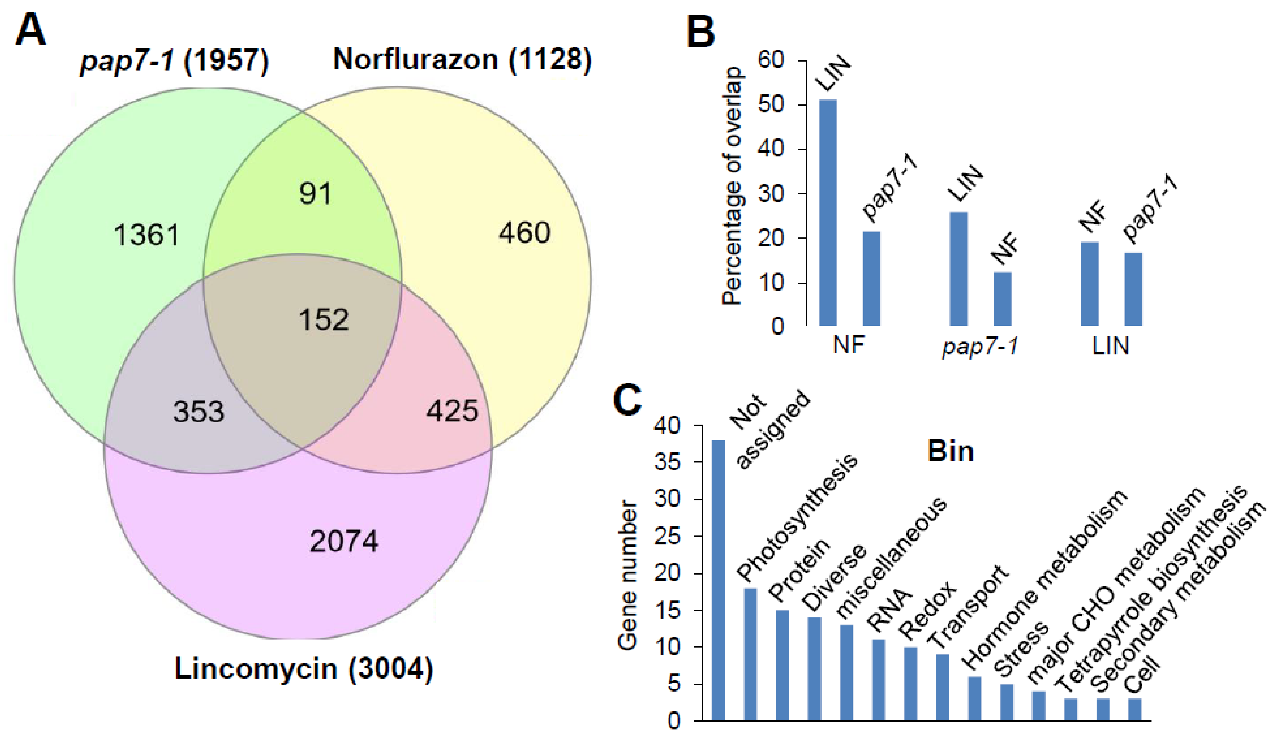 Plants 10 00296 g001