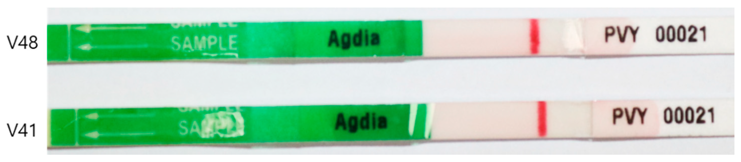 Plants 10 00297 g001 Plants 10 00297 g001