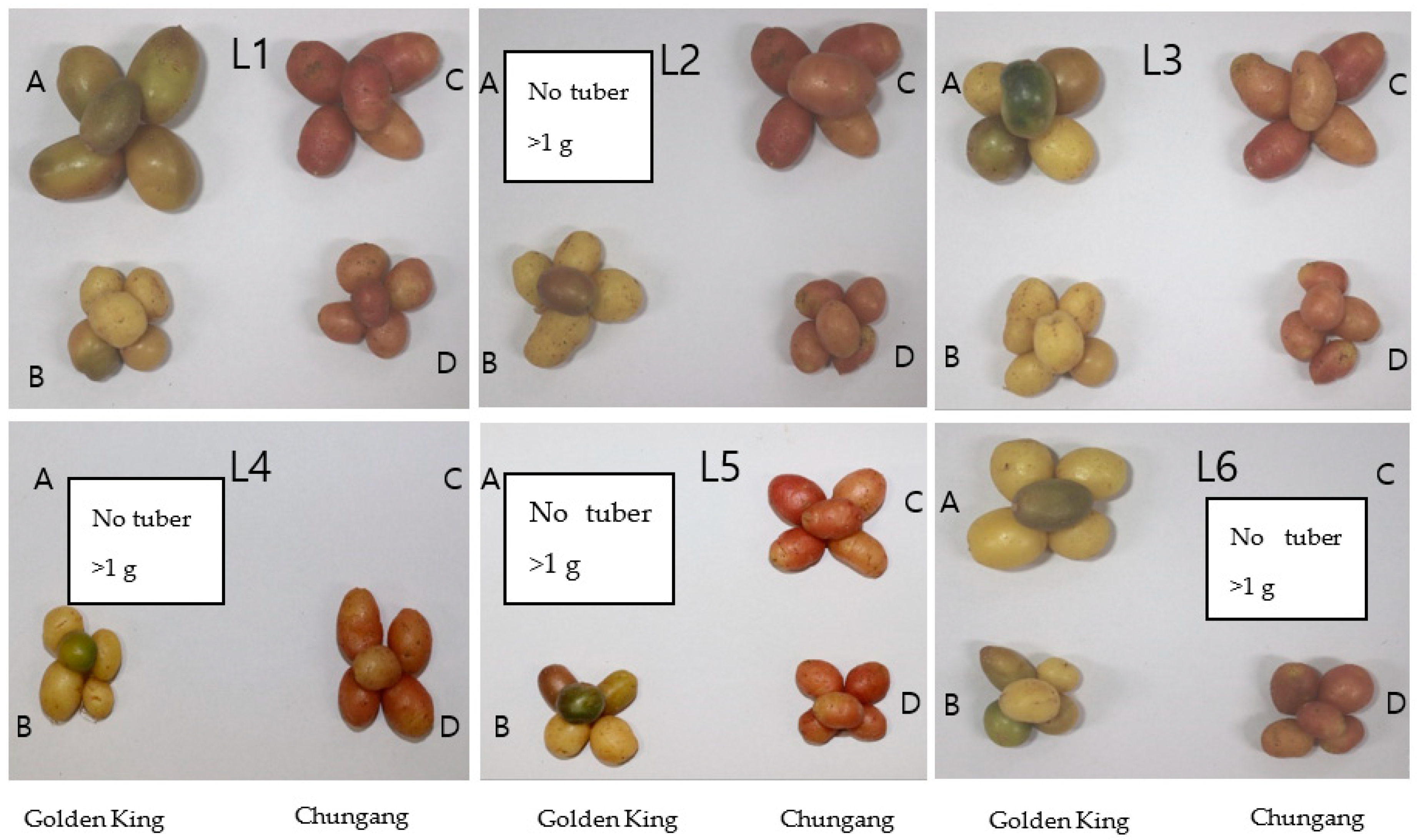 Plants 10 00297 g004 Plants 10 00297 g004