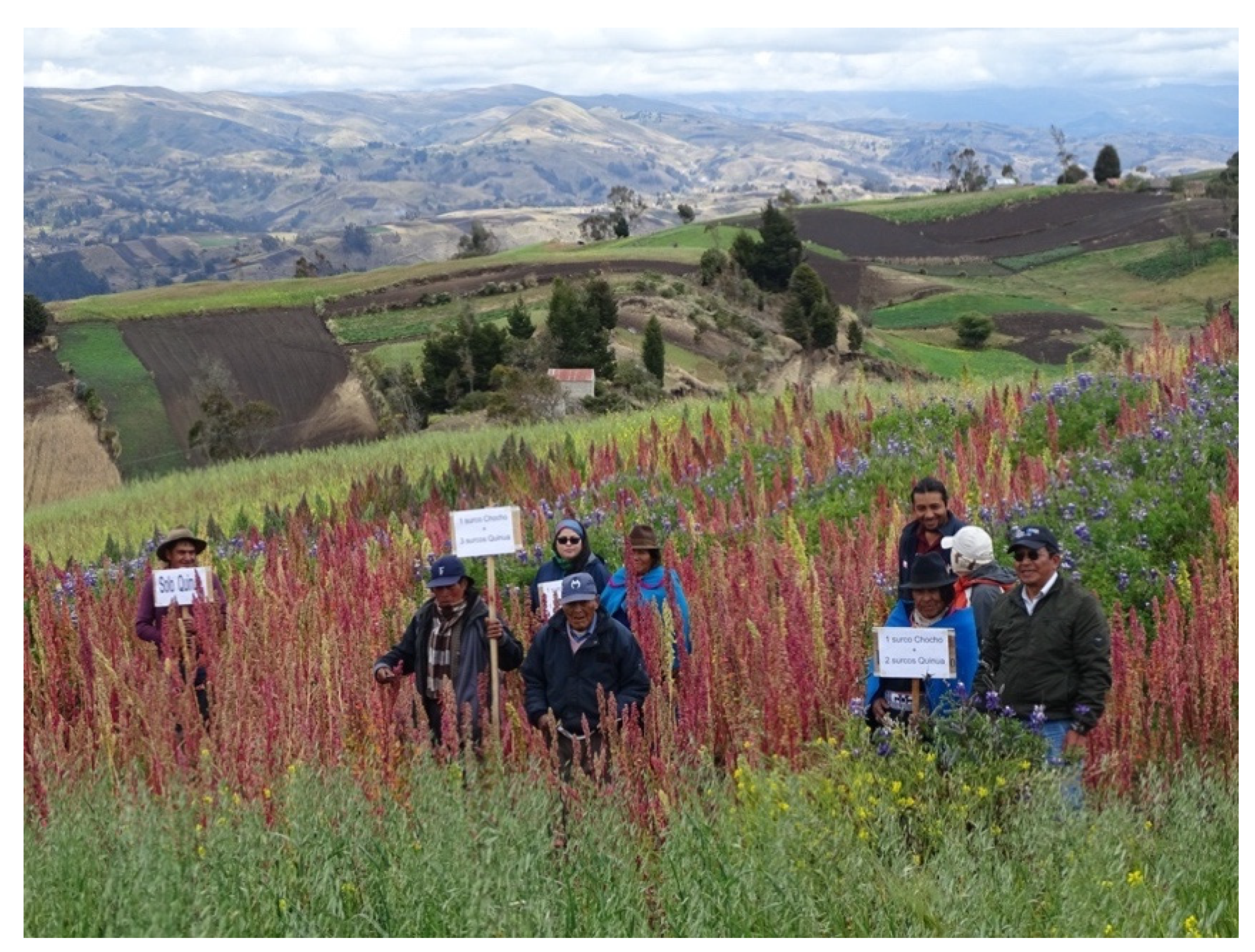 Plants 10 00298 g002