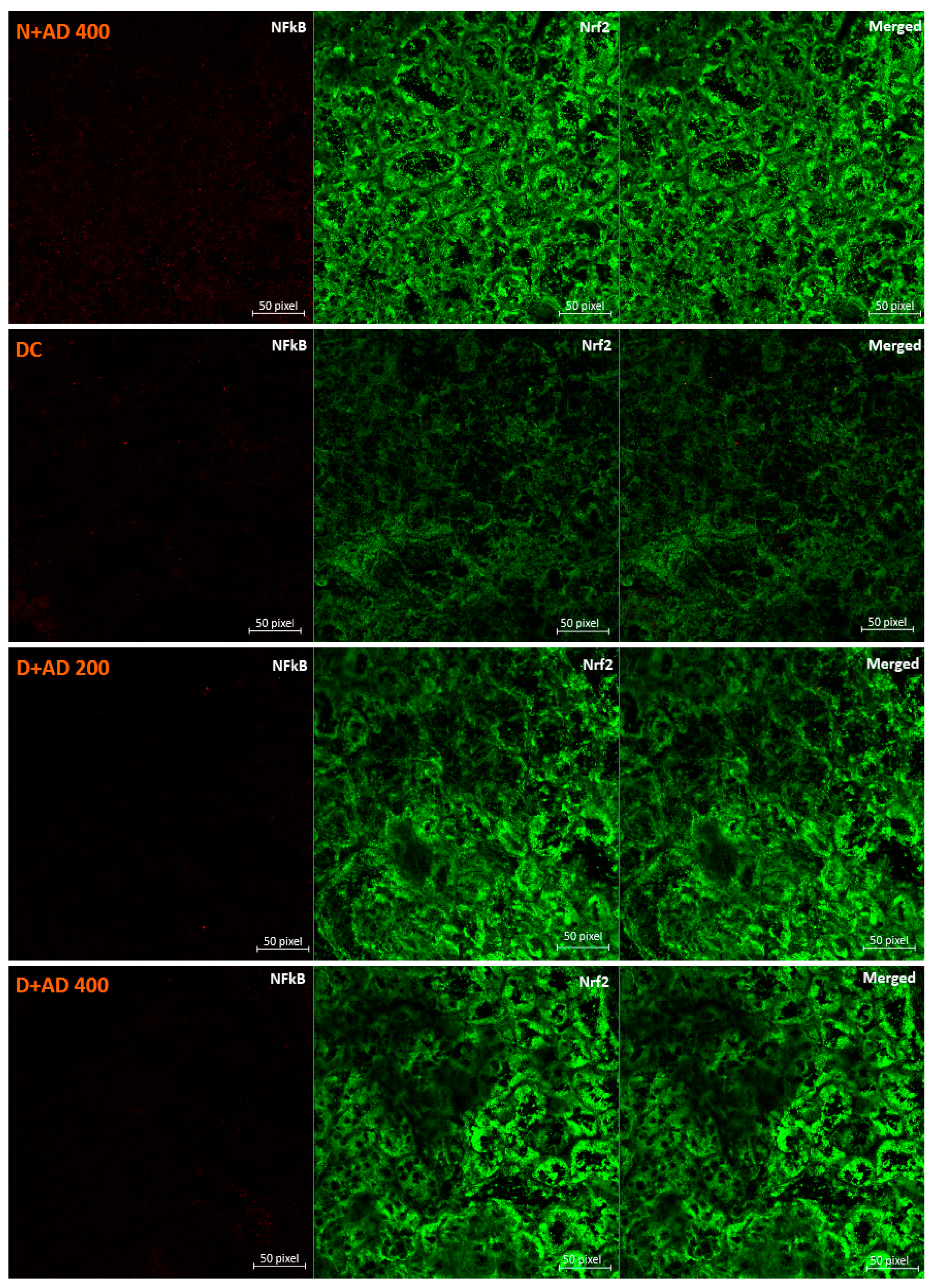 Plants 10 00300 g006b Plants 10 00300 g006b