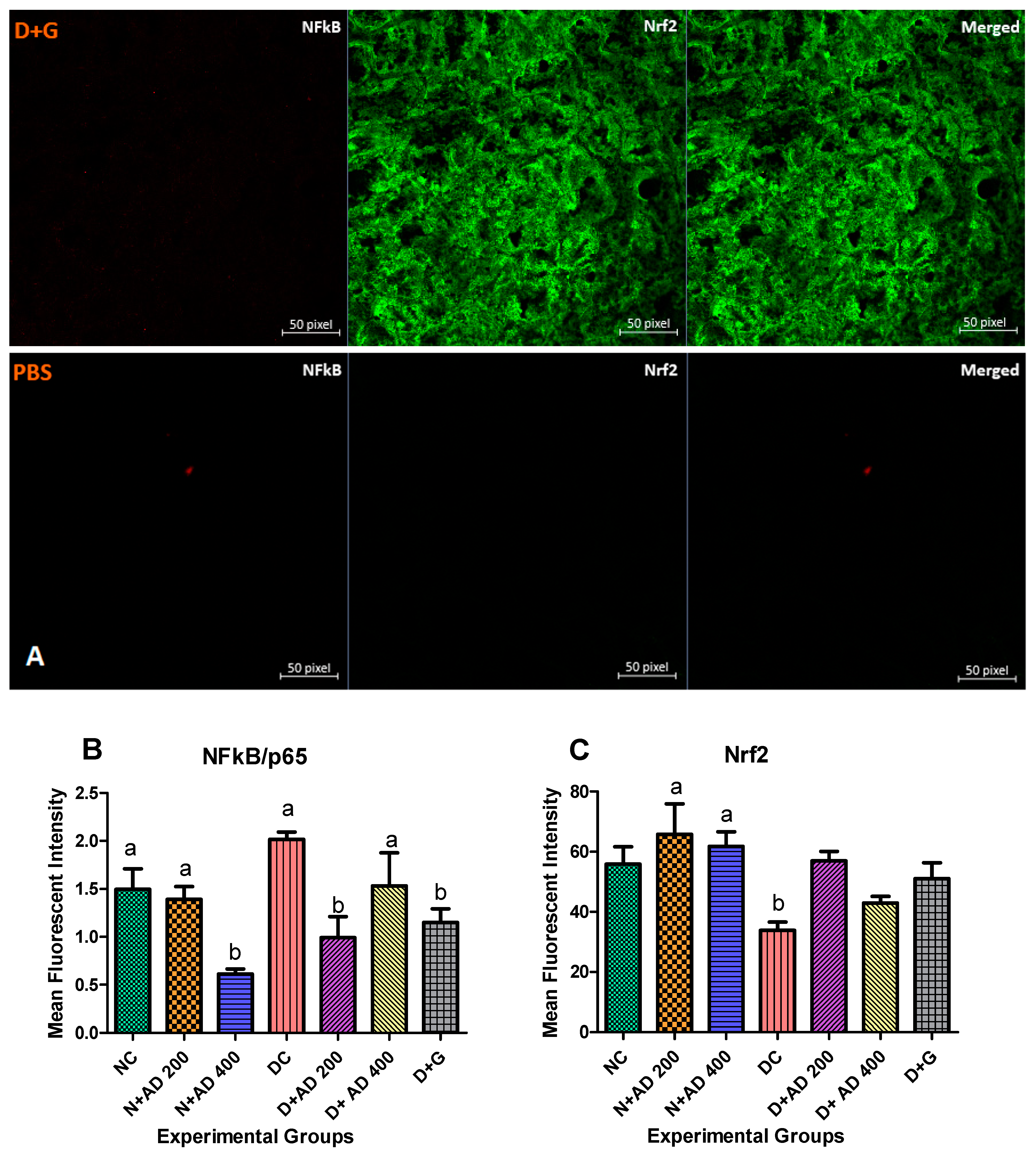 Plants 10 00300 g006c Plants 10 00300 g006c