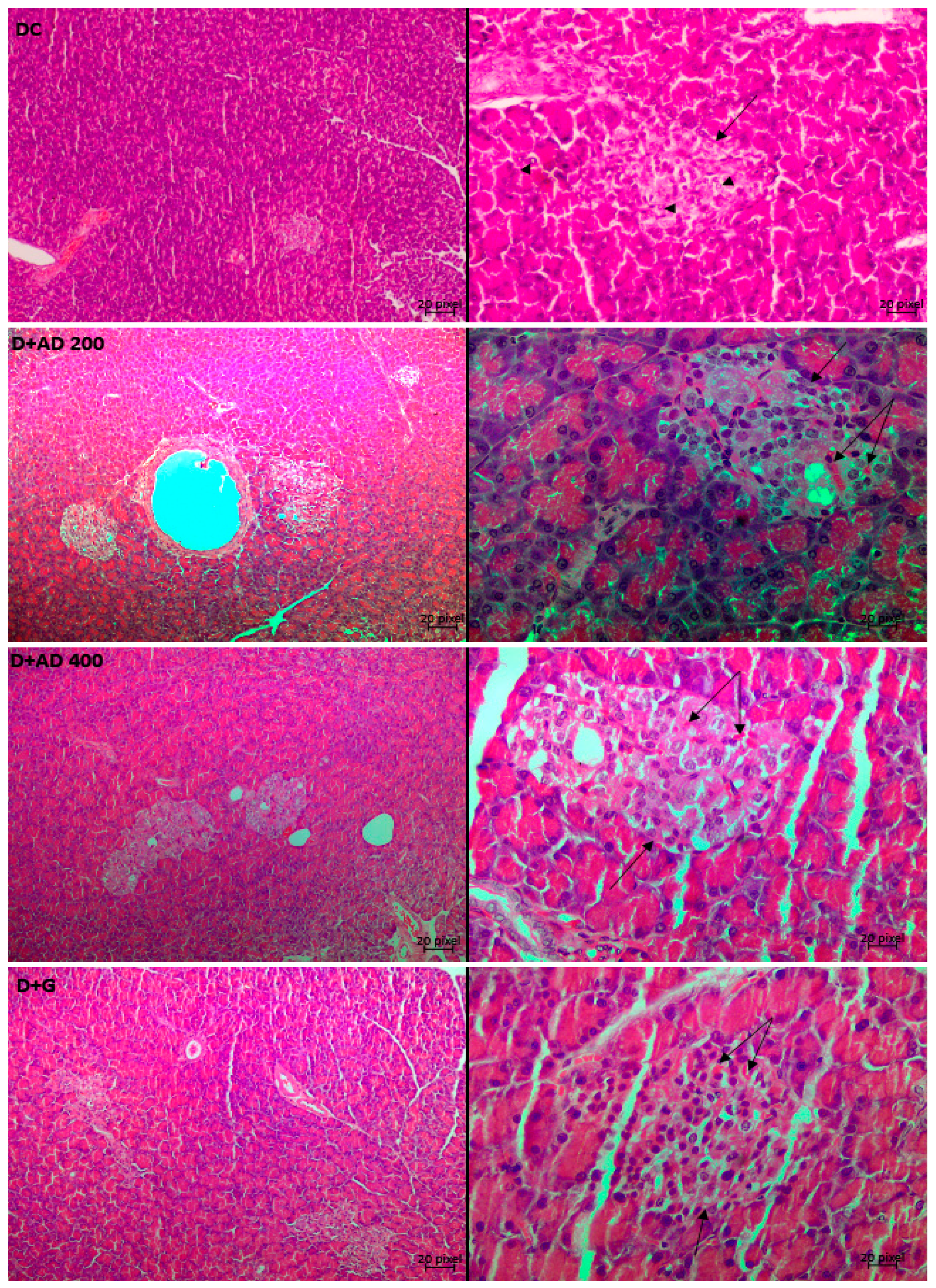 Plants 10 00300 g009b Plants 10 00300 g009b