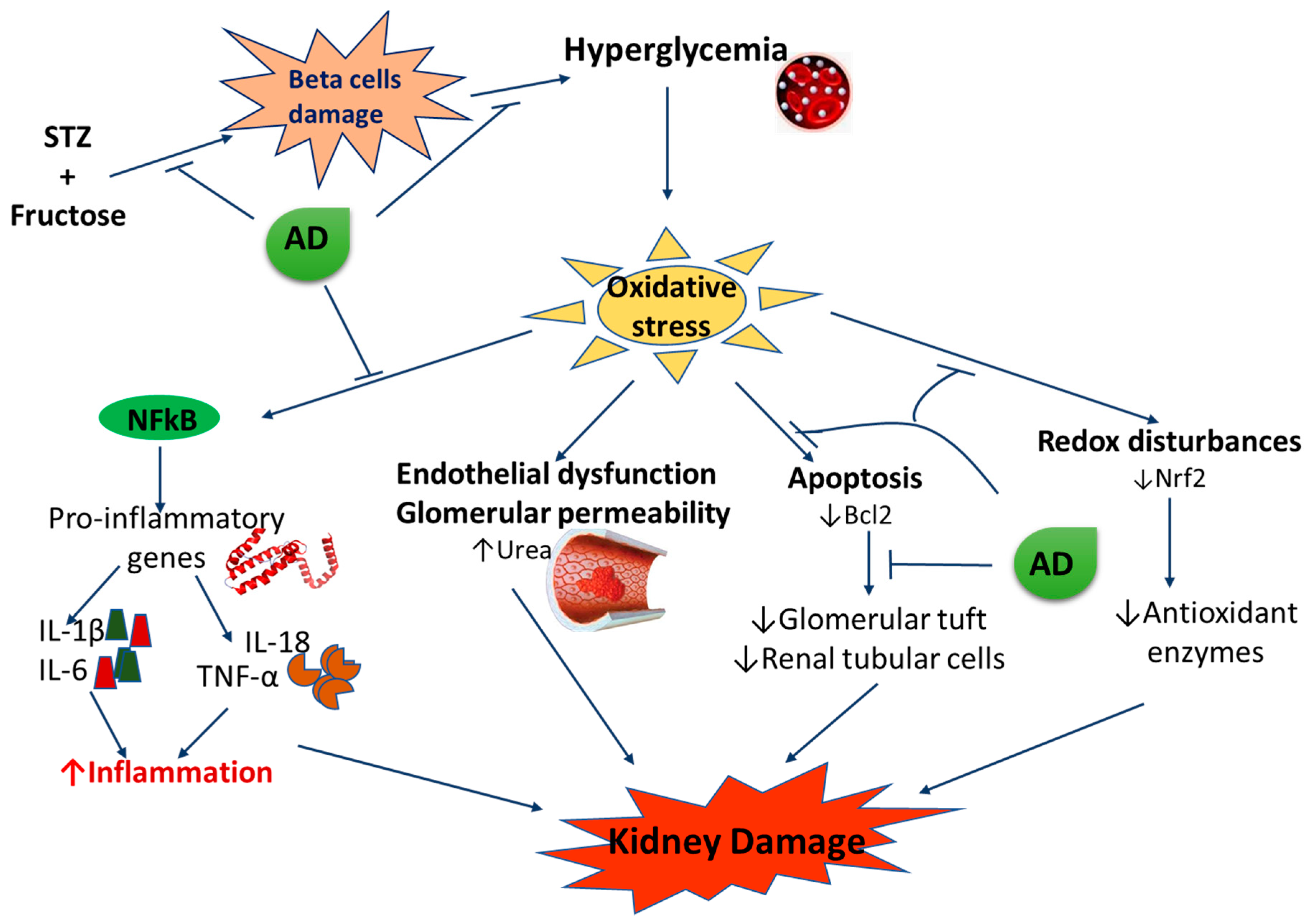 Plants 10 00300 g010 Plants 10 00300 g010