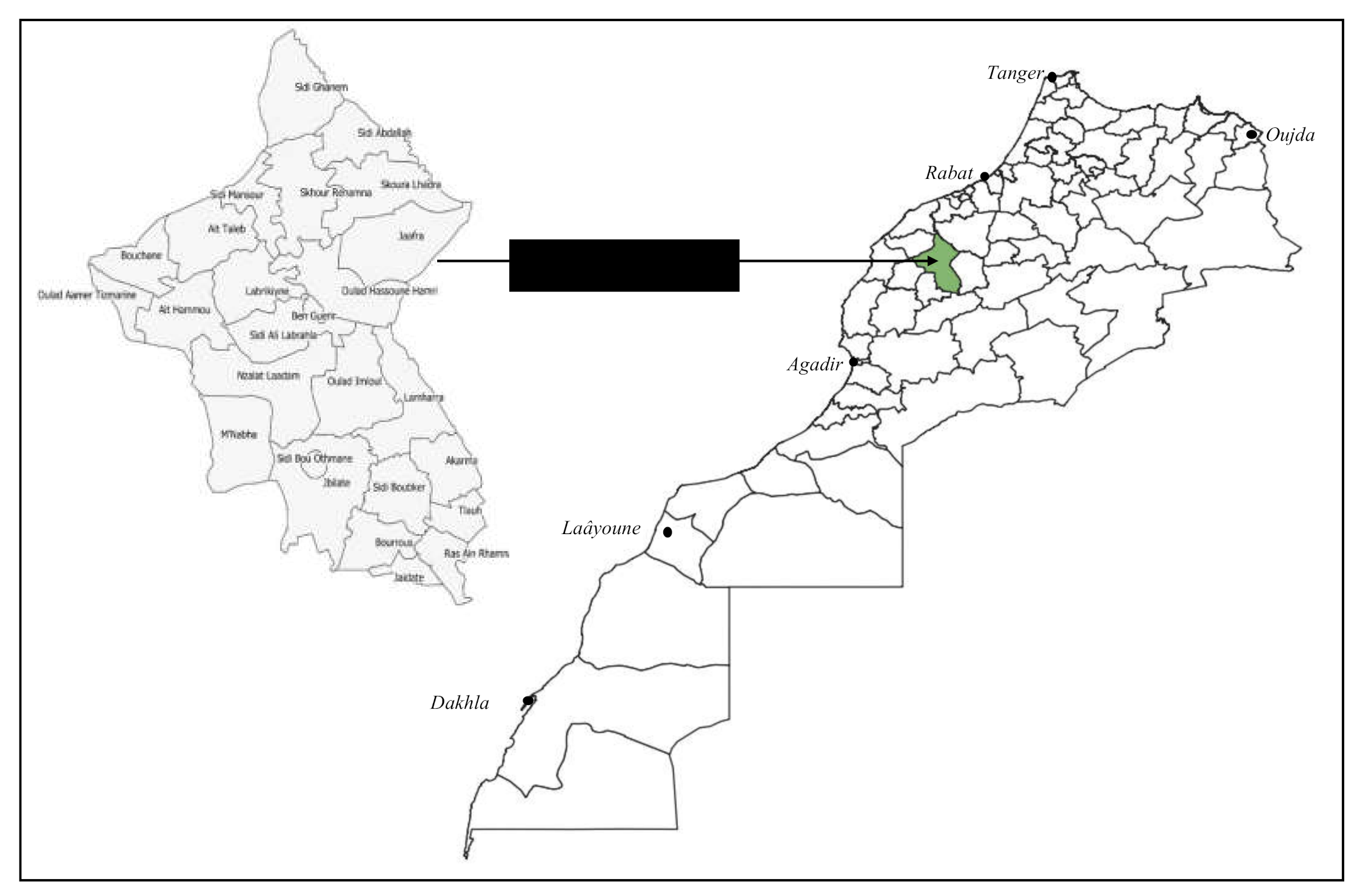 Plants 10 00301 g006 Plants 10 00301 g006