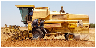 Plants 10 00301 i001 Plants 10 00301 i001