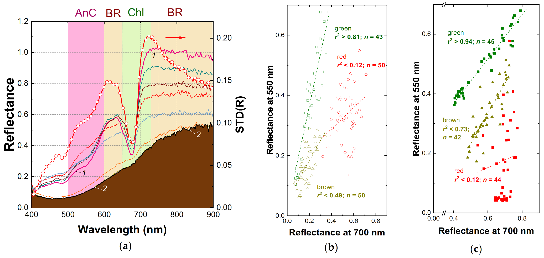 Plants 10 00310 g003 Plants 10 00310 g003