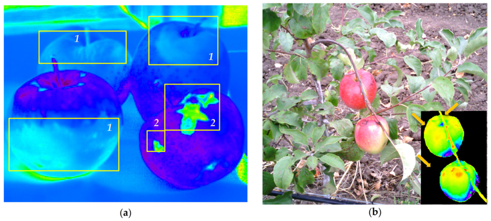 Plants 10 00310 g005 Plants 10 00310 g005