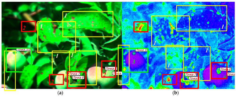 Plants 10 00310 g006 Plants 10 00310 g006