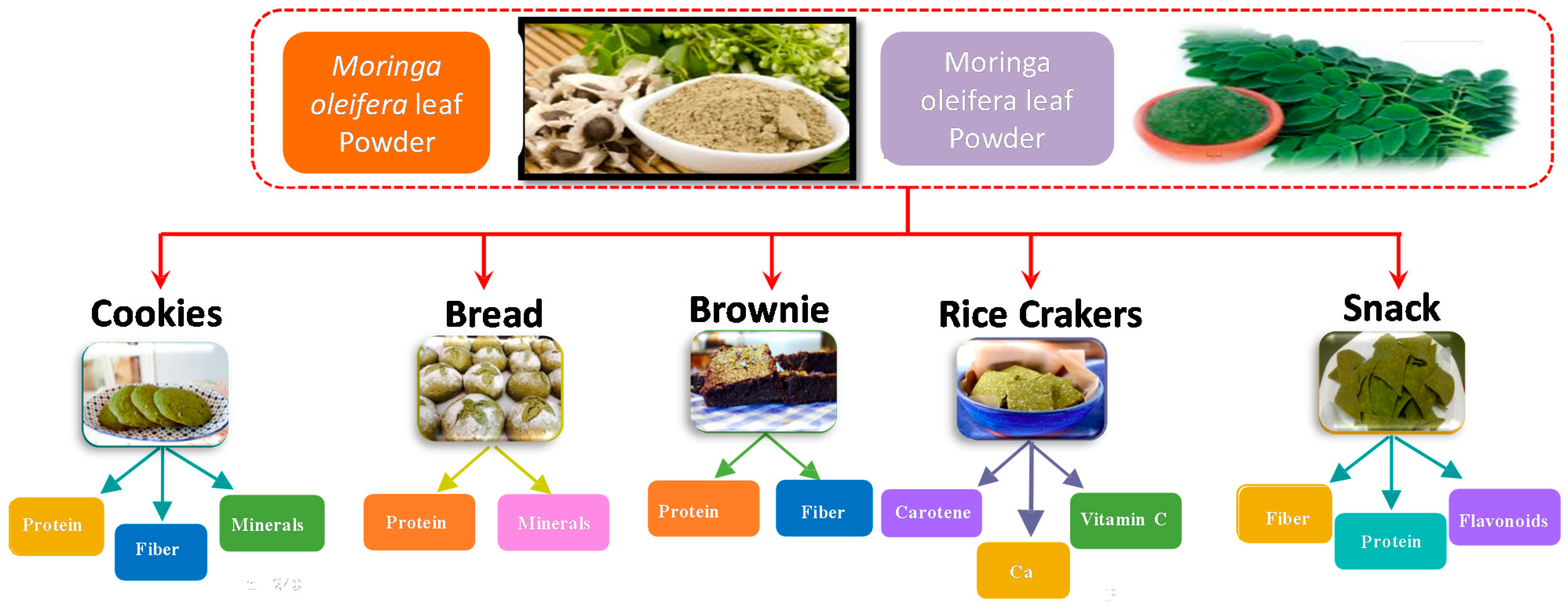 Plants 10 00318 g002 Plants 10 00318 g002