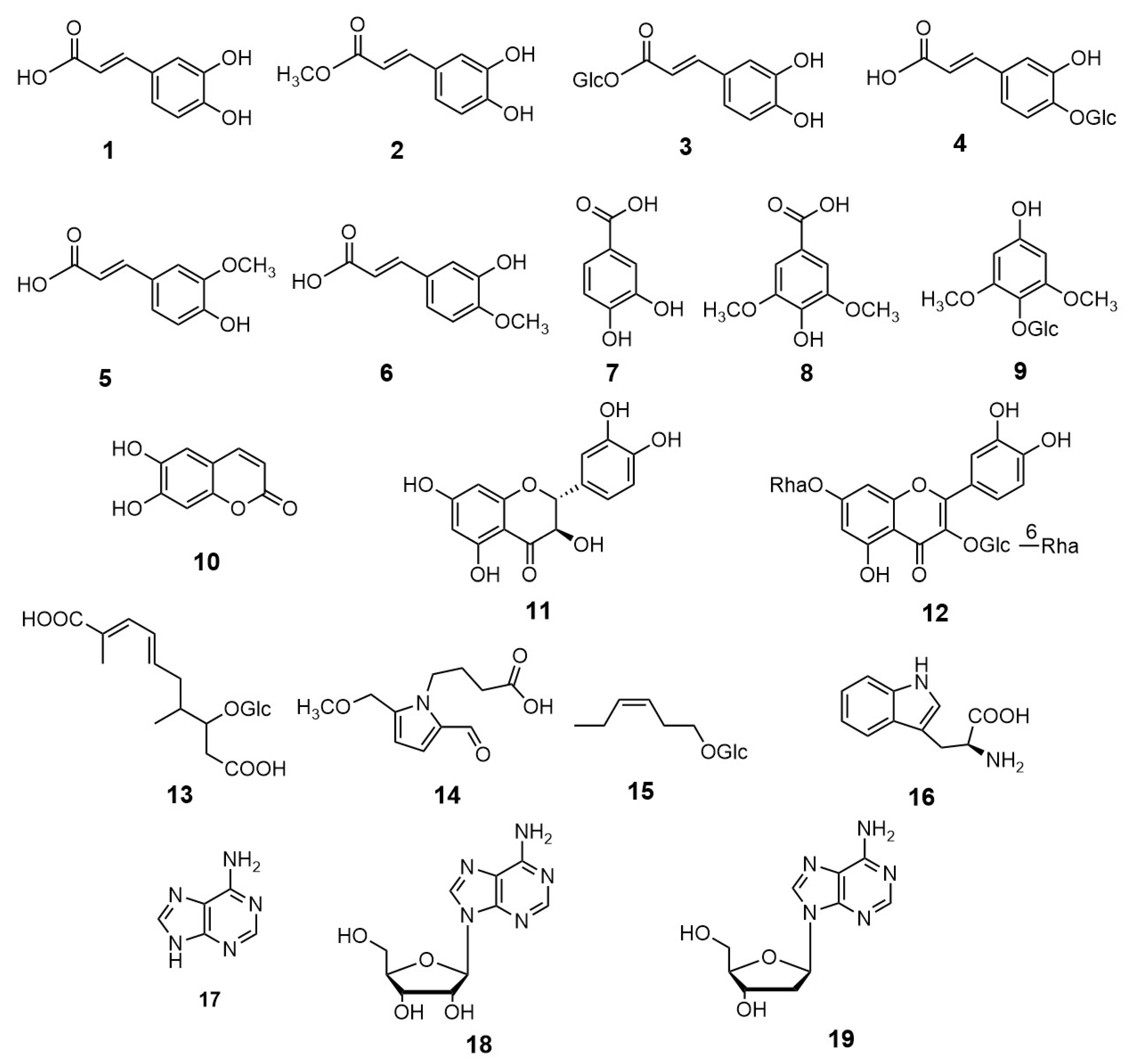Plants 10 00320 g002