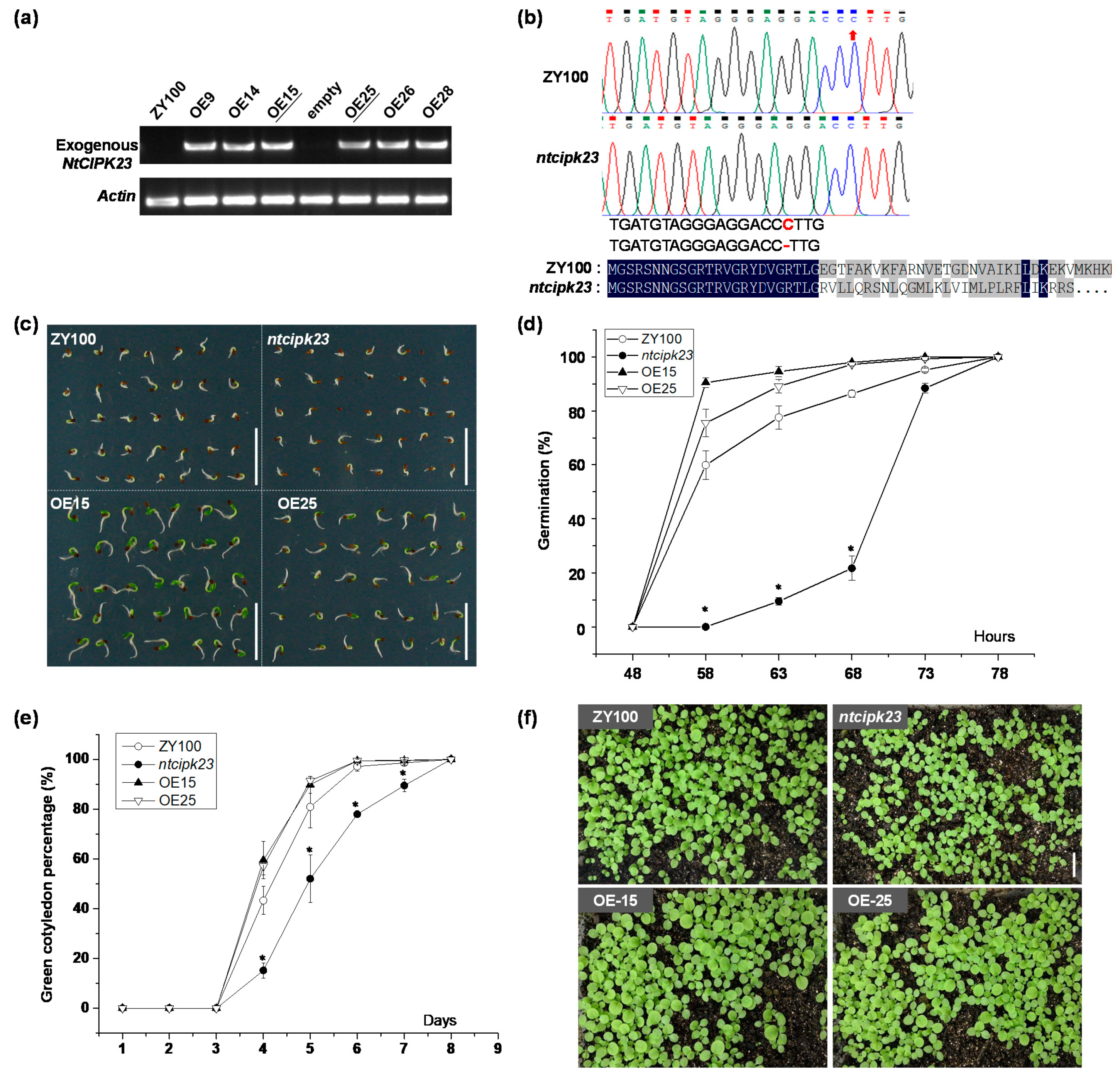 Plants 10 00323 g003 Plants 10 00323 g003