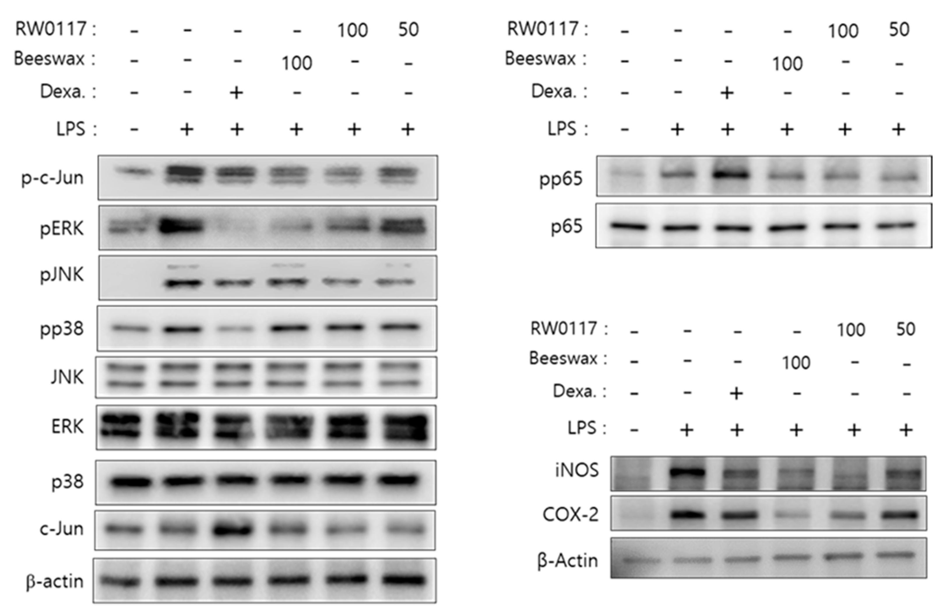 Plants 10 00332 g005 Plants 10 00332 g005