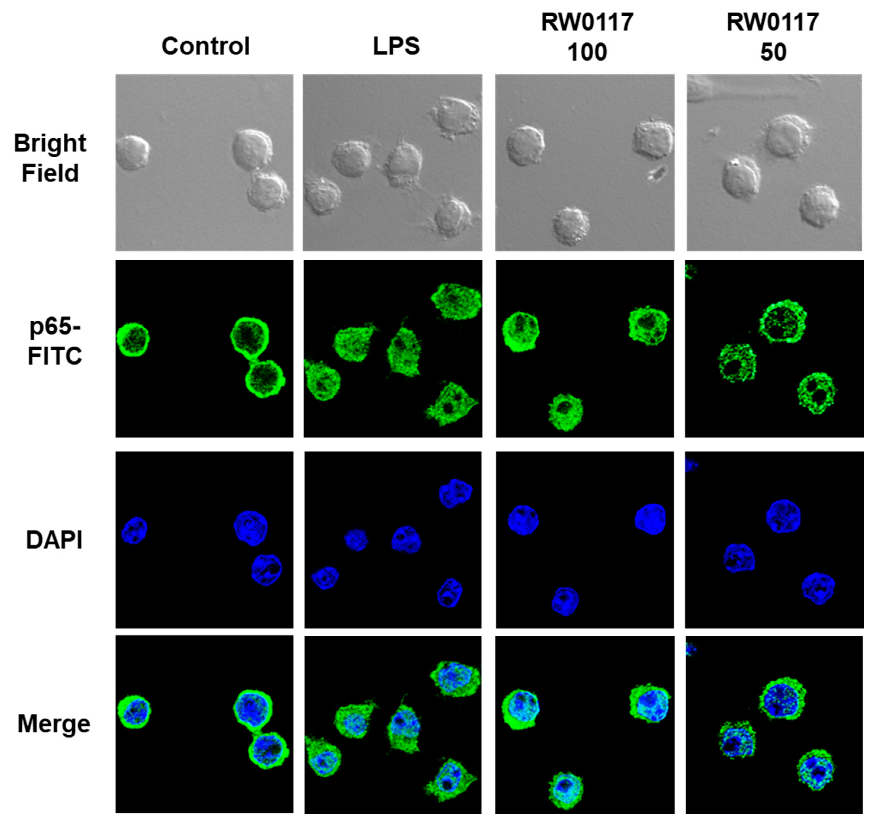 Plants 10 00332 g006 Plants 10 00332 g006