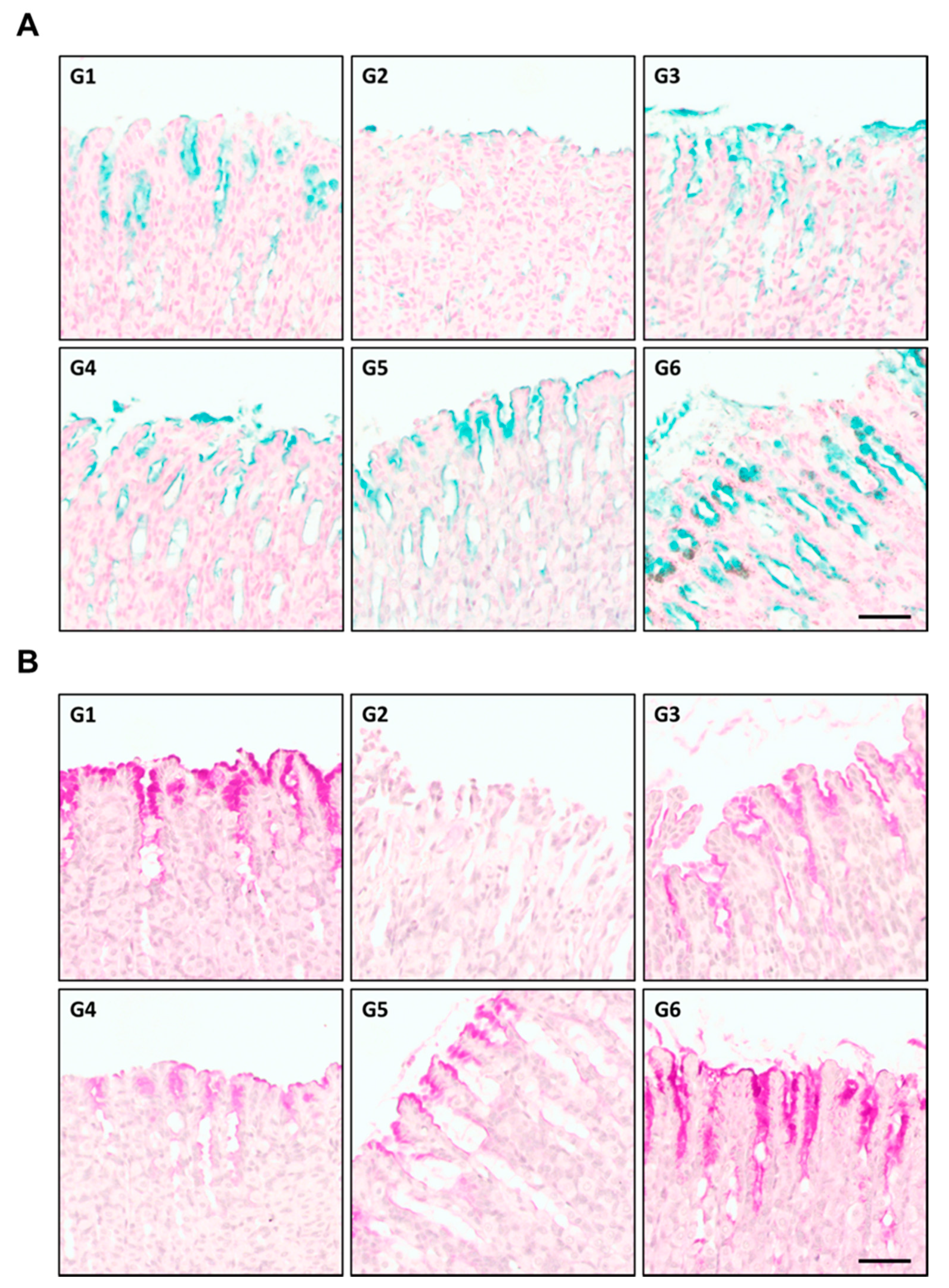 Plants 10 00332 g007 Plants 10 00332 g007