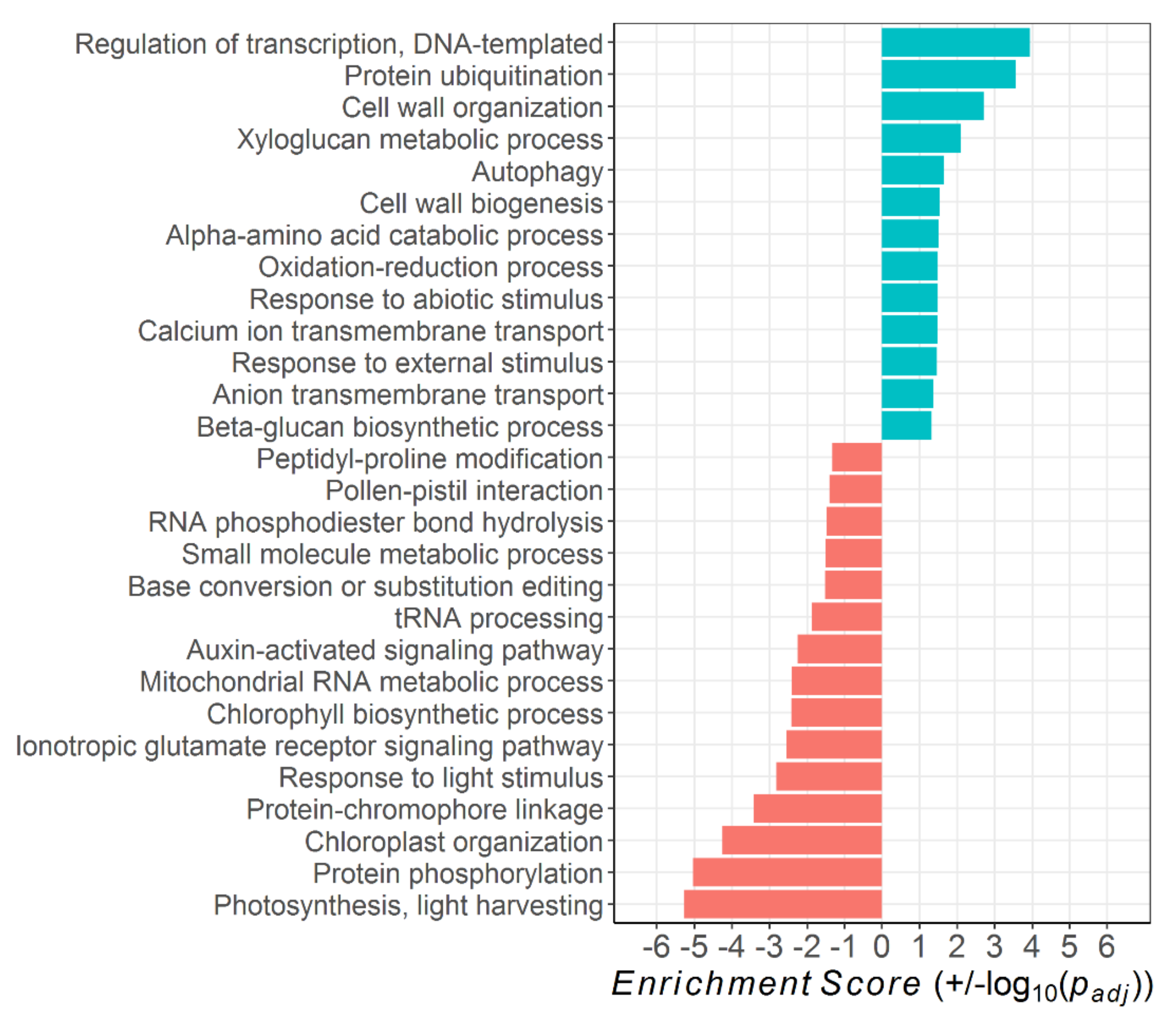 Plants 10 00333 g004 Plants 10 00333 g004