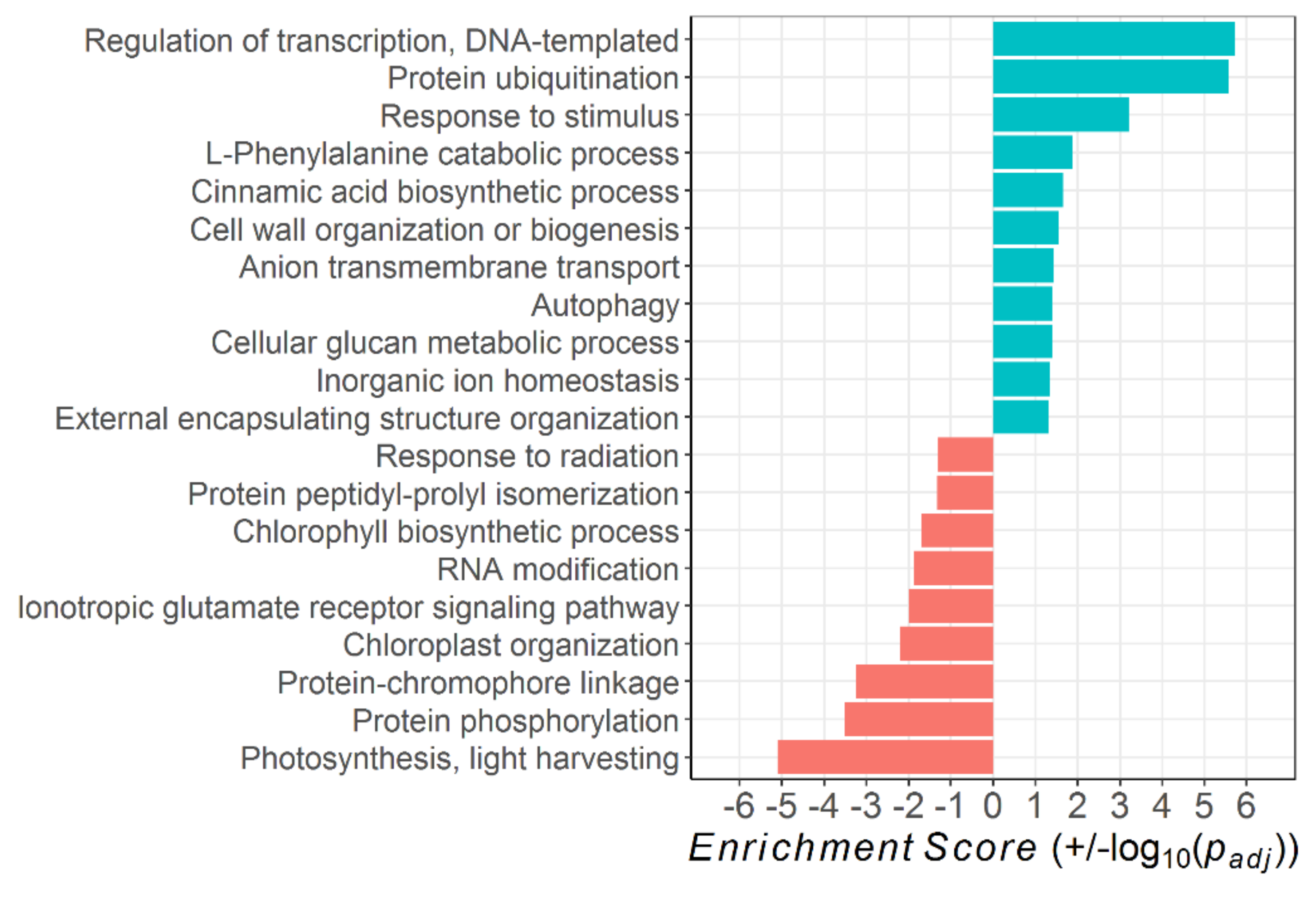 Plants 10 00333 g005 Plants 10 00333 g005