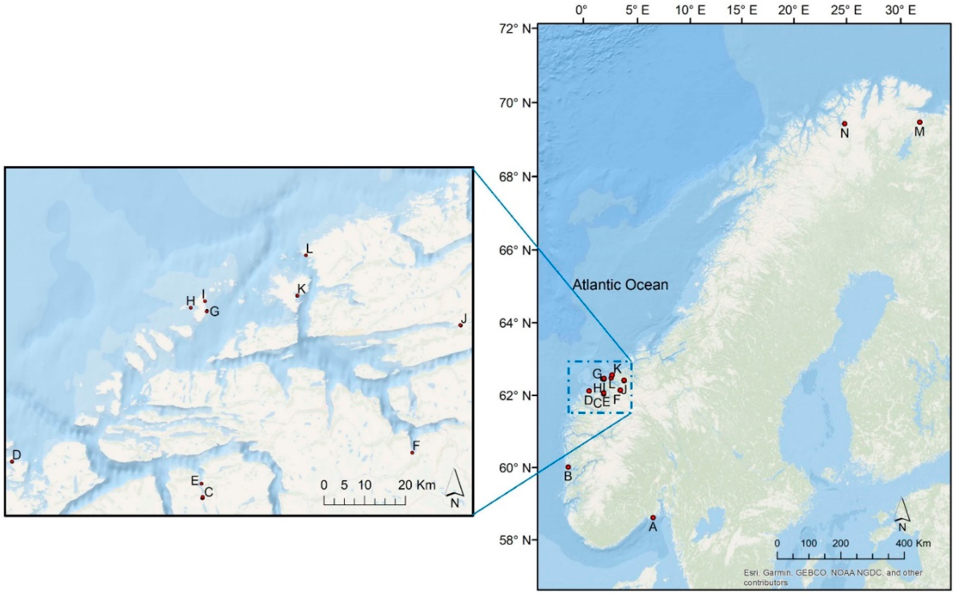 Plants 10 00334 g008 Plants 10 00334 g008