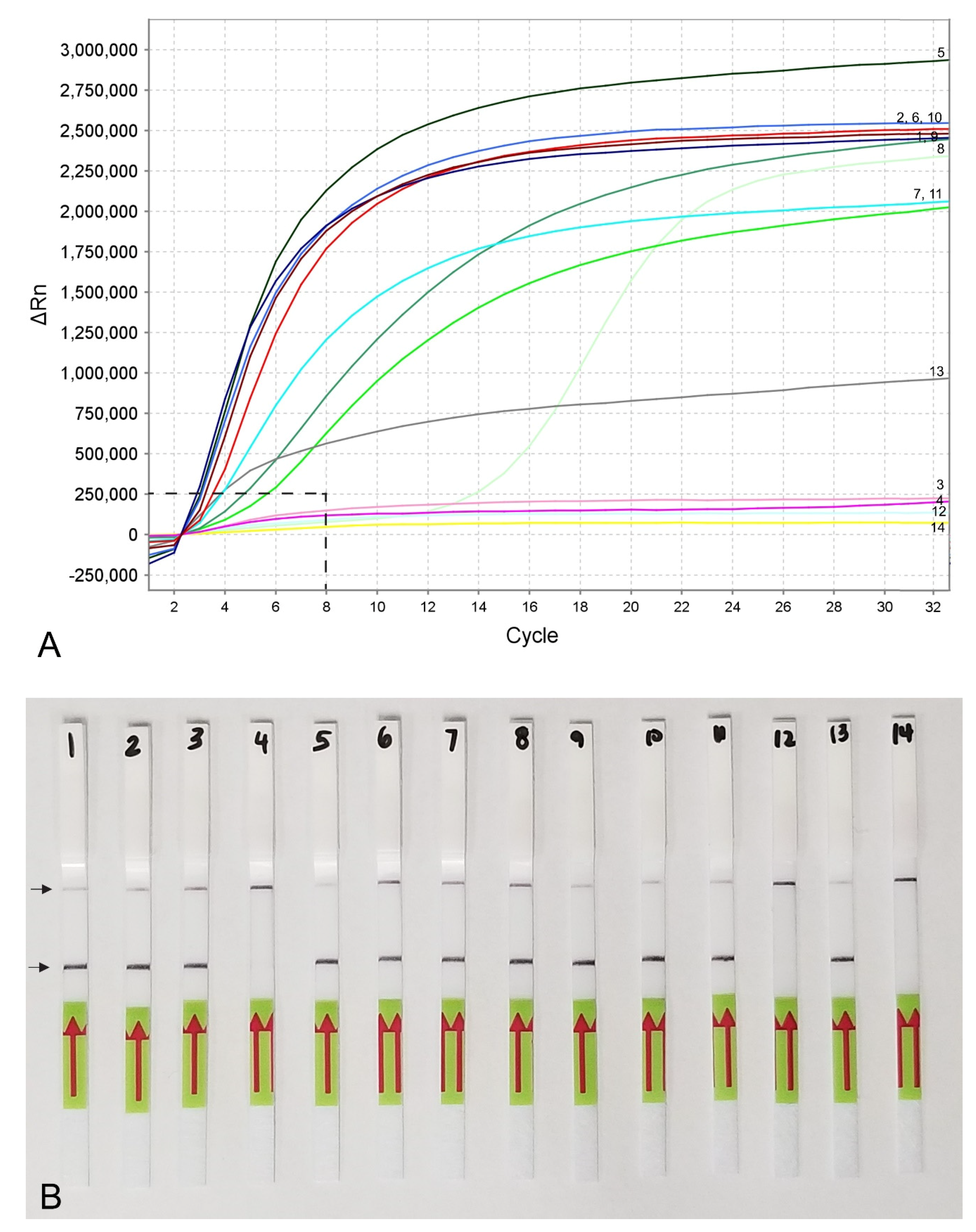 Plants 10 00336 g004