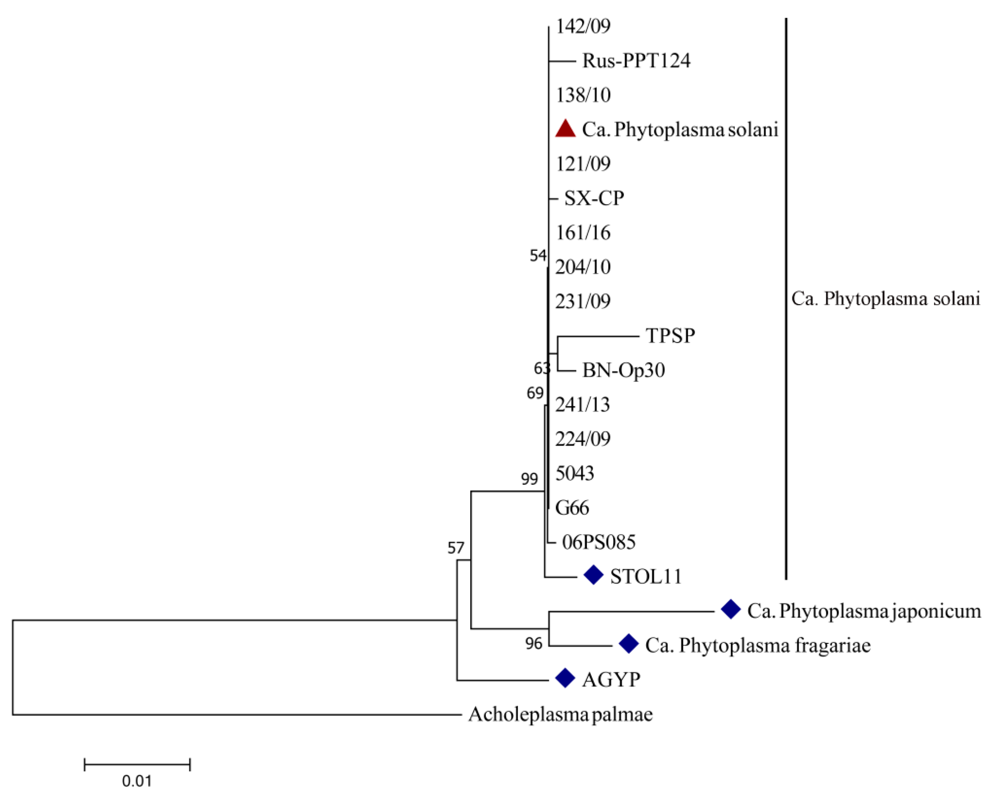 Plants 10 00337 g003 Plants 10 00337 g003