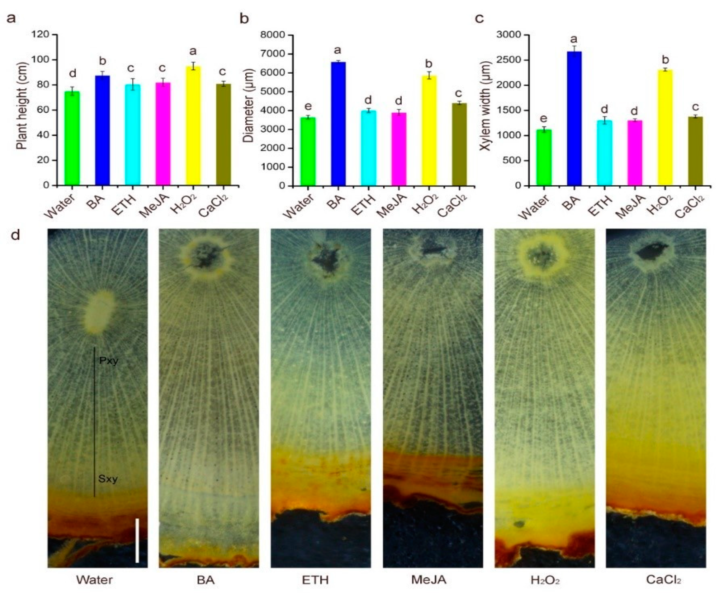 Plants 10 00339 g001 Plants 10 00339 g001