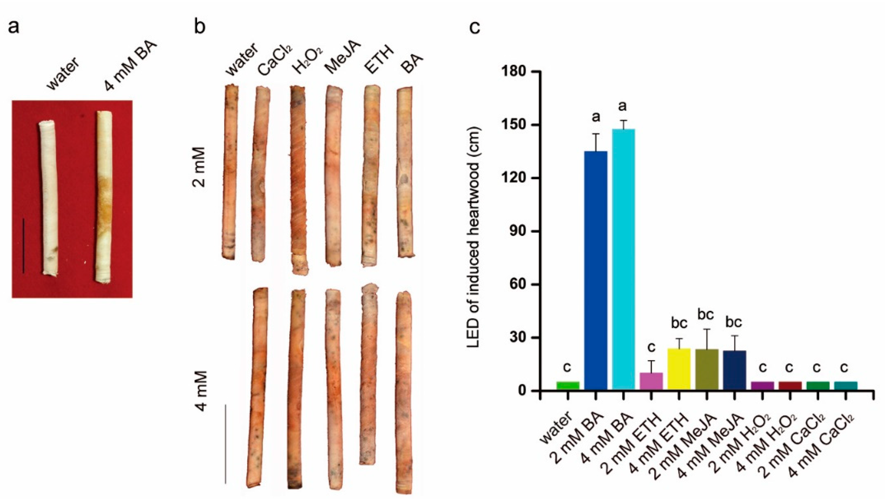 Plants 10 00339 g004 Plants 10 00339 g004