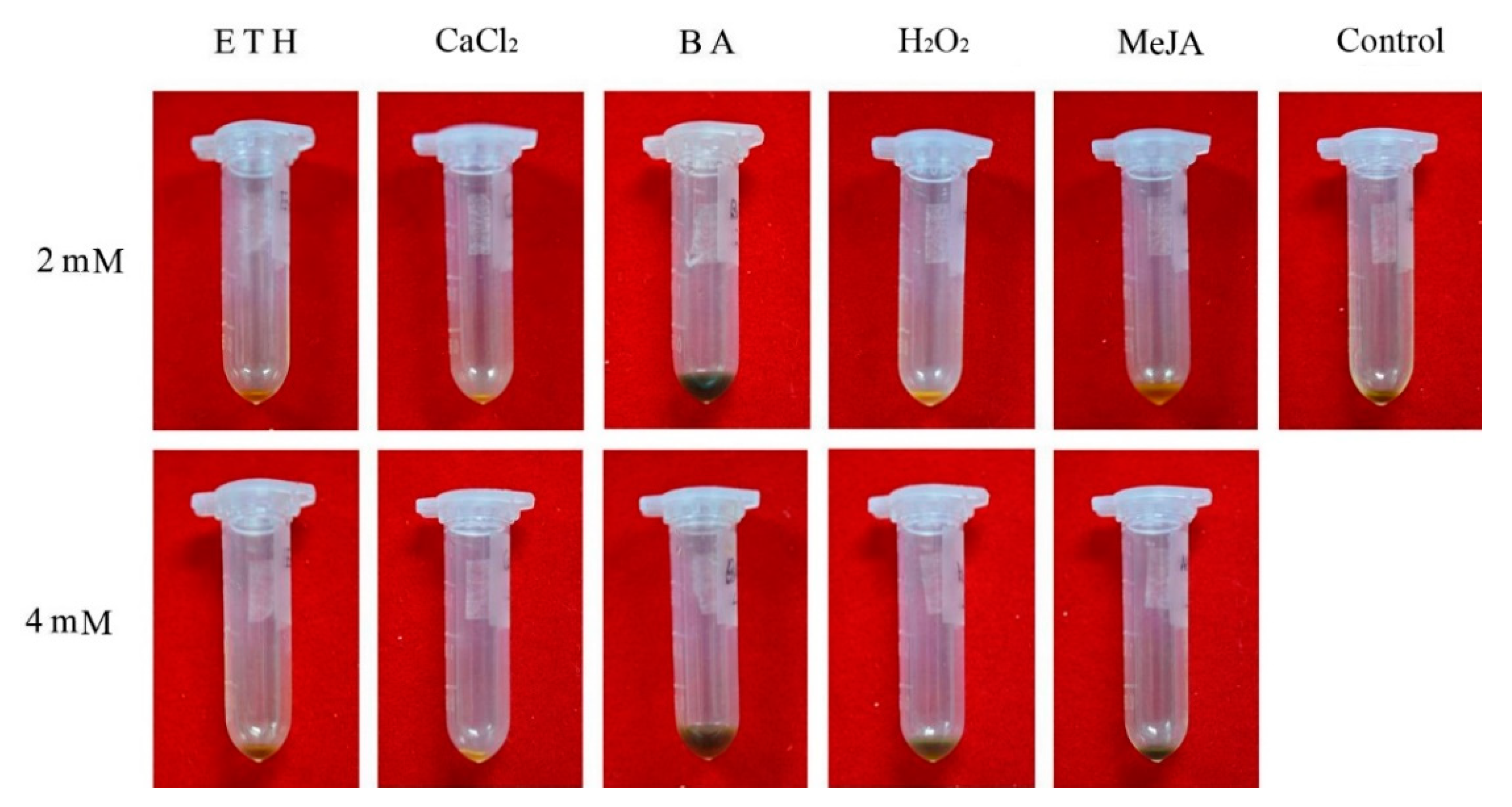 Plants 10 00339 g005 Plants 10 00339 g005