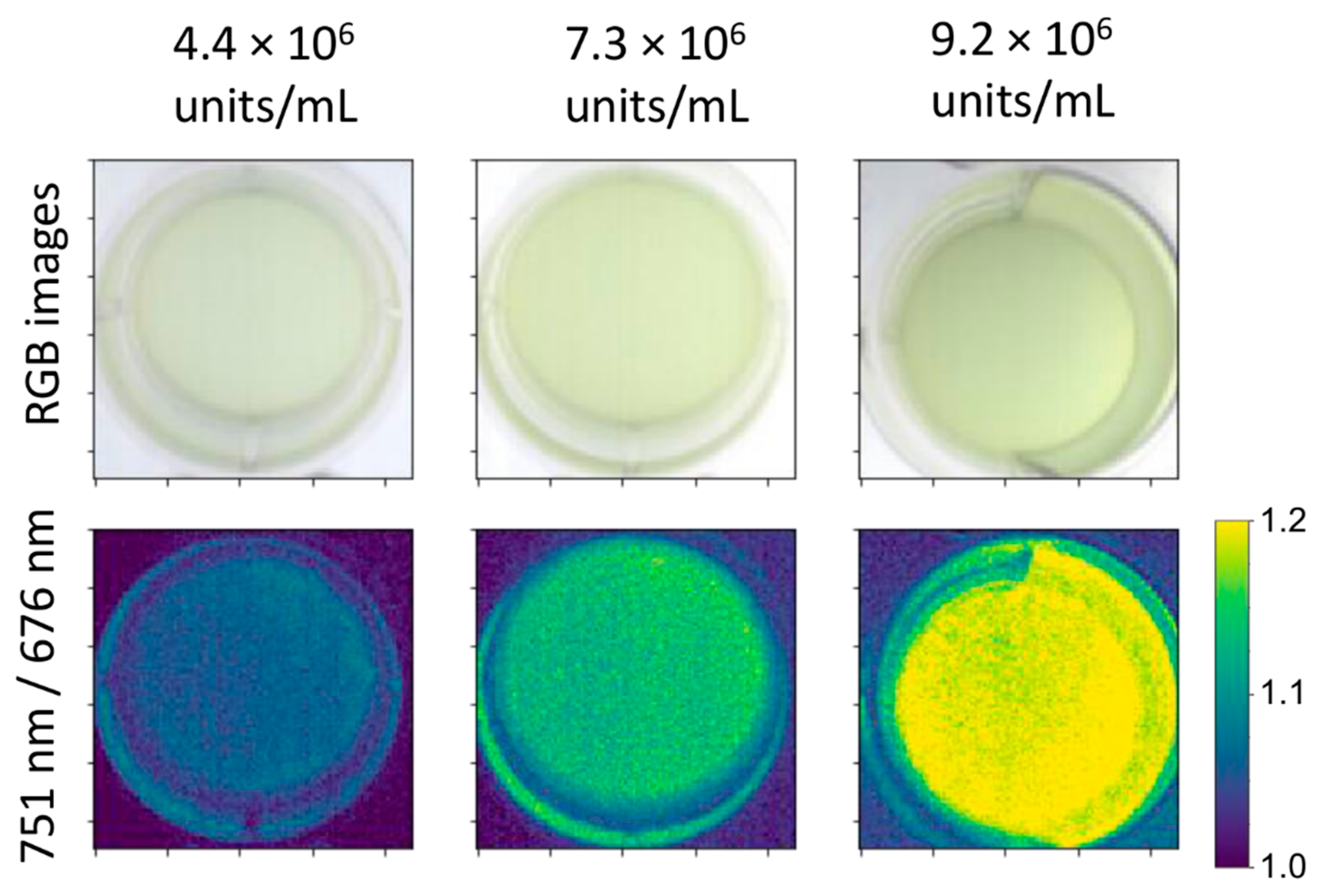 Plants 10 00341 g001