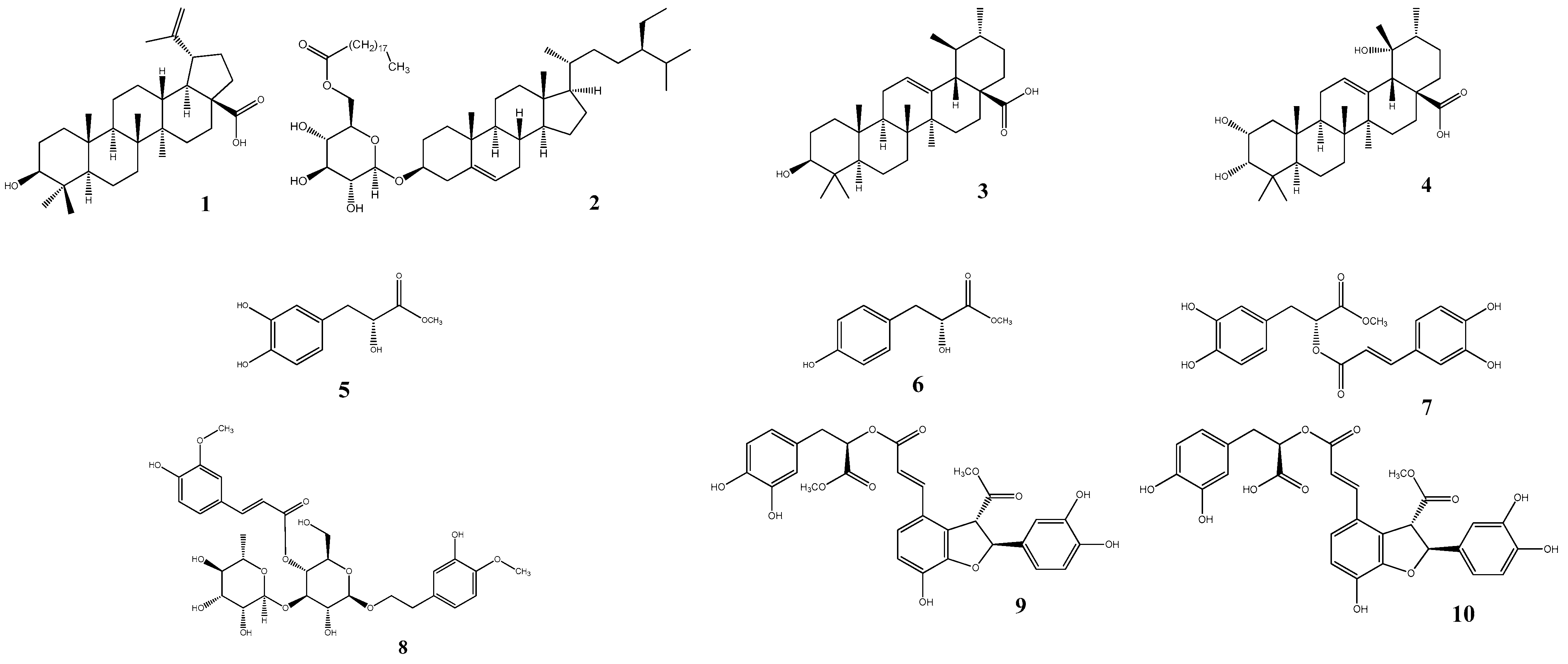 Plants 10 00356 g001 Plants 10 00356 g001