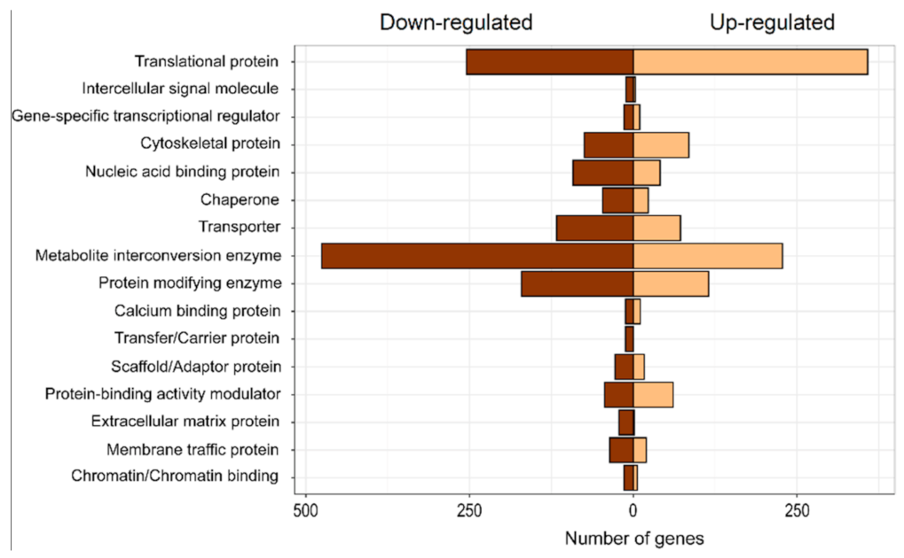 Plants 10 00357 g005 Plants 10 00357 g005