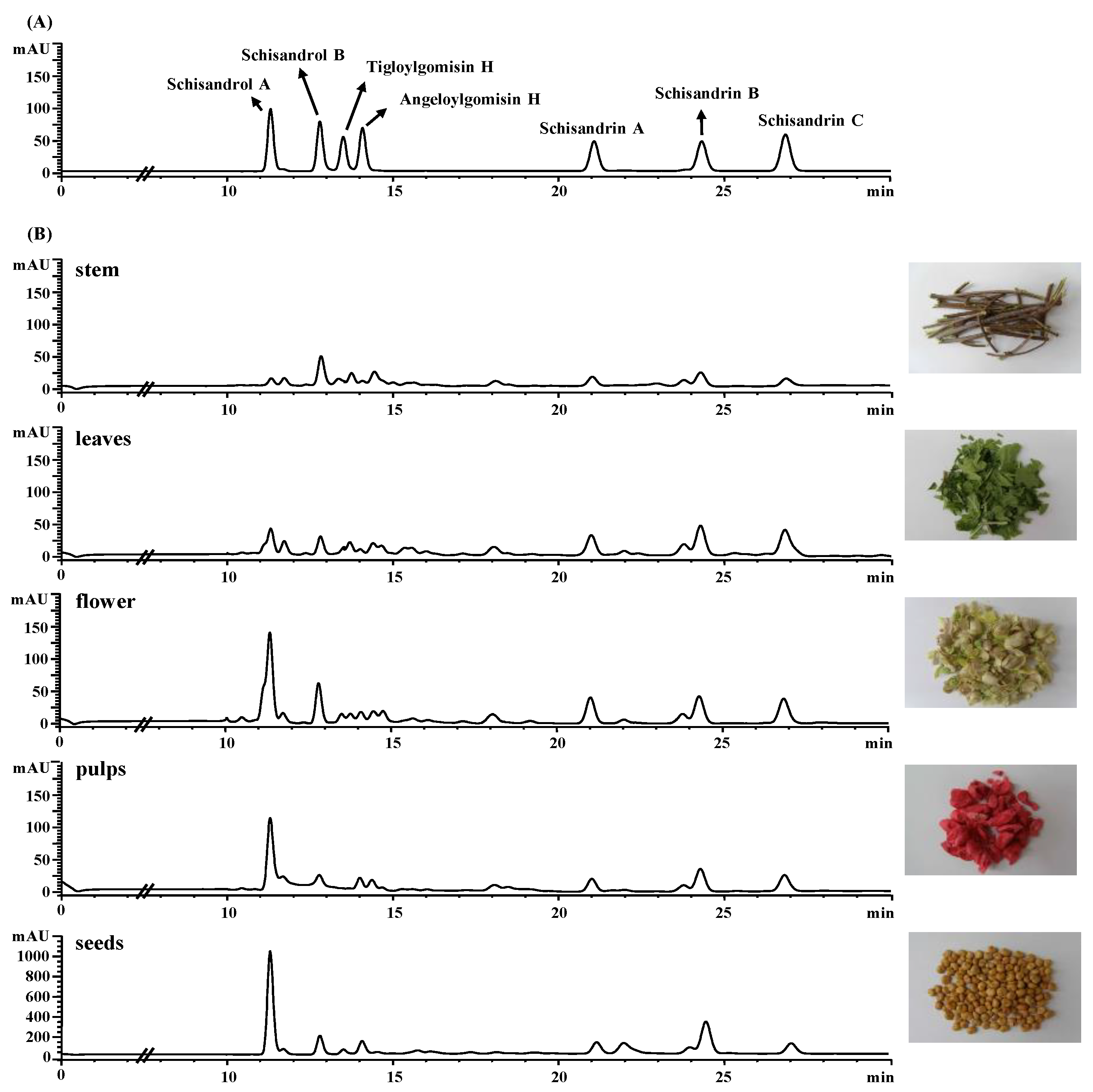 Plants 10 00361 g002 Plants 10 00361 g002